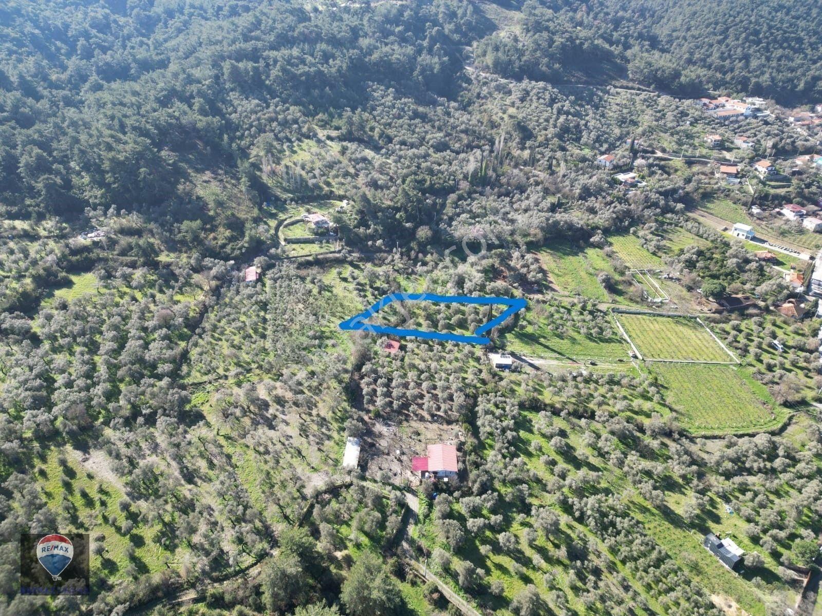 Kuşadası Kirazlıda Fırsat Bahçe — fotoğraf 6
