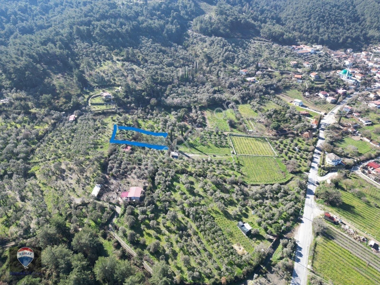 Kuşadası Kirazlıda Fırsat Bahçe — fotoğraf 8