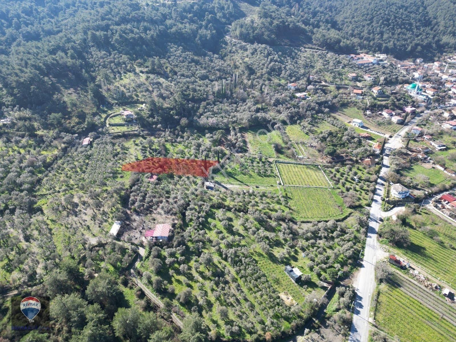 Kuşadası Kirazlıda Fırsat Bahçe — fotoğraf 9