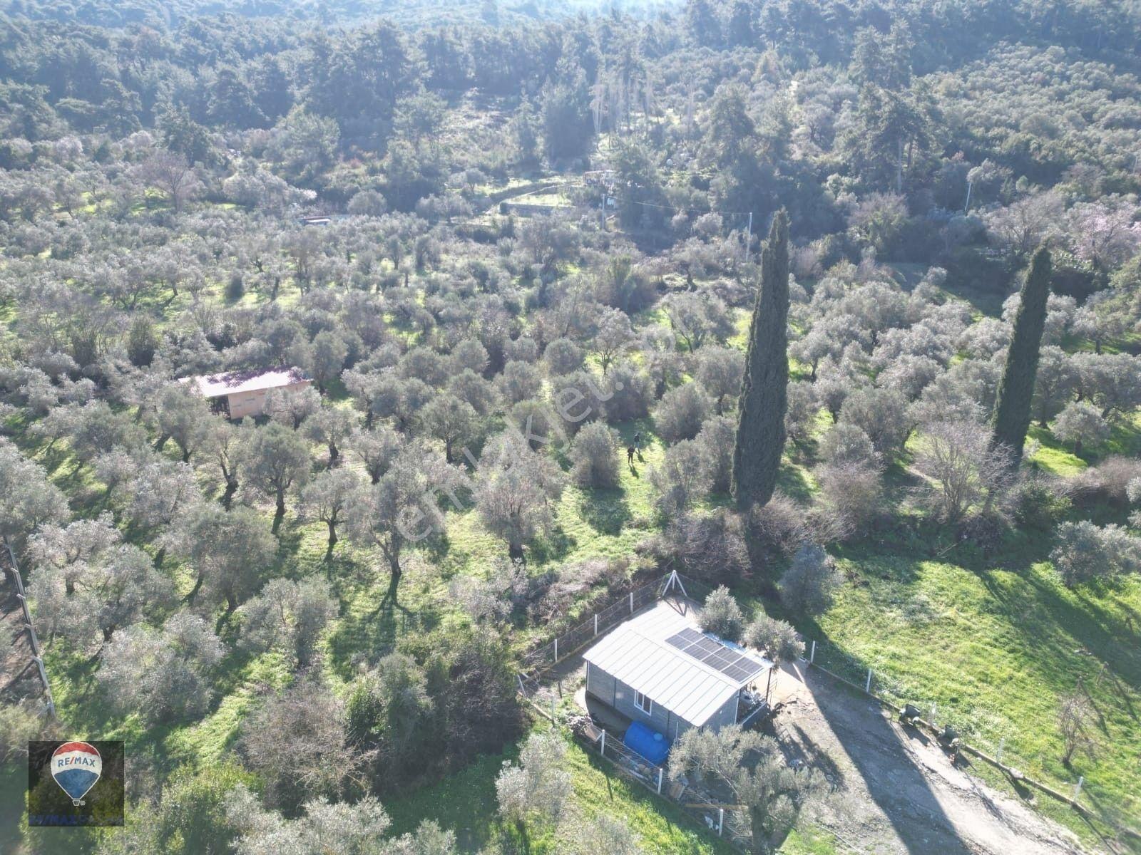 Kuşadası Kirazlıda Fırsat Bahçe — fotoğraf 12