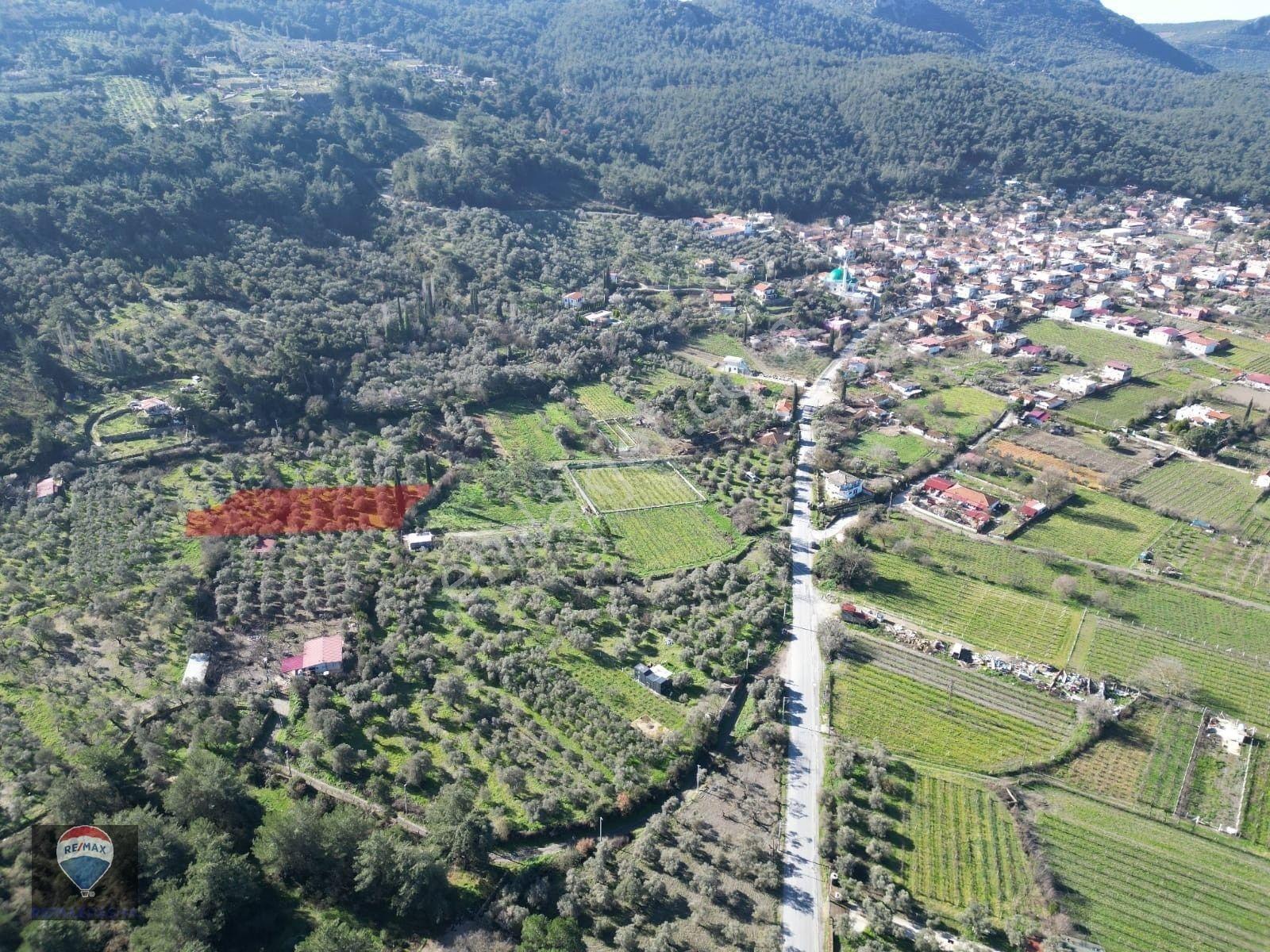 Kuşadası Kirazlıda Fırsat Bahçe — fotoğraf 14