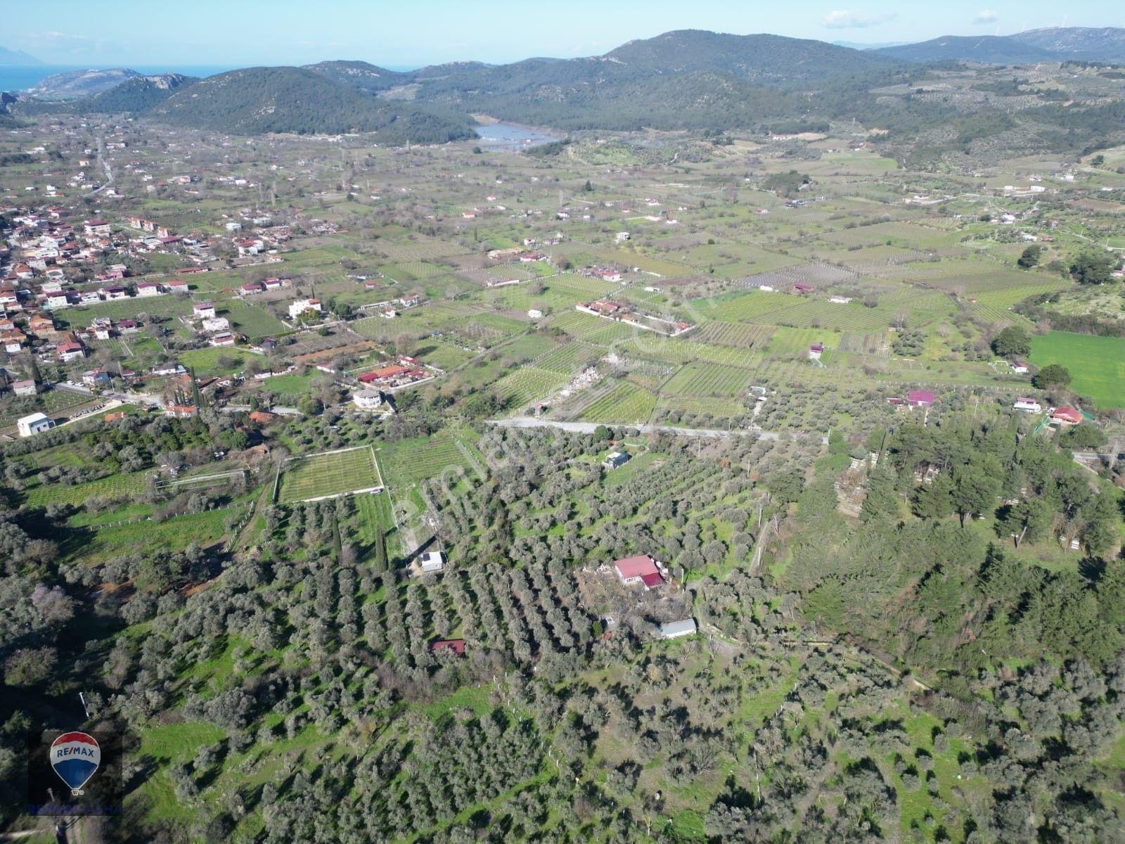 Kuşadası Kirazlıda Fırsat Bahçe — fotoğraf 15