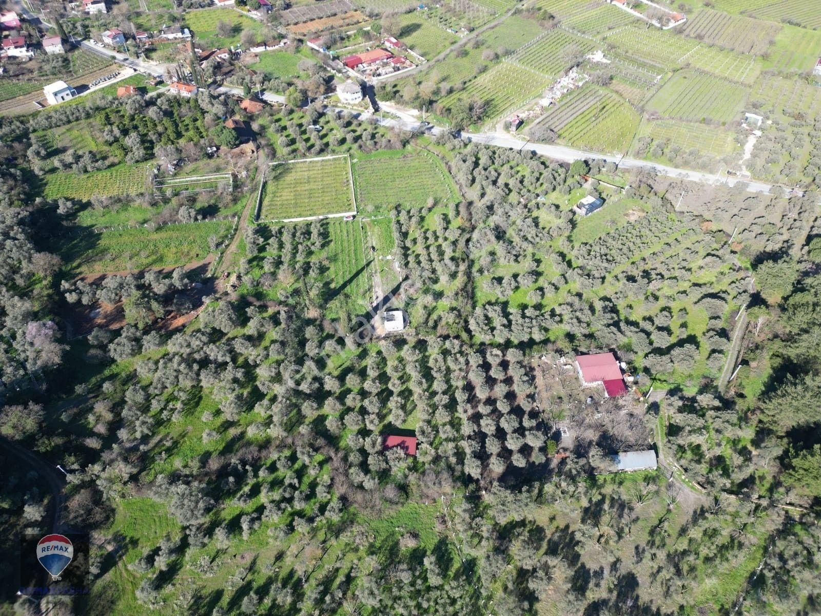 Kuşadası Kirazlıda Fırsat Bahçe — fotoğraf 16
