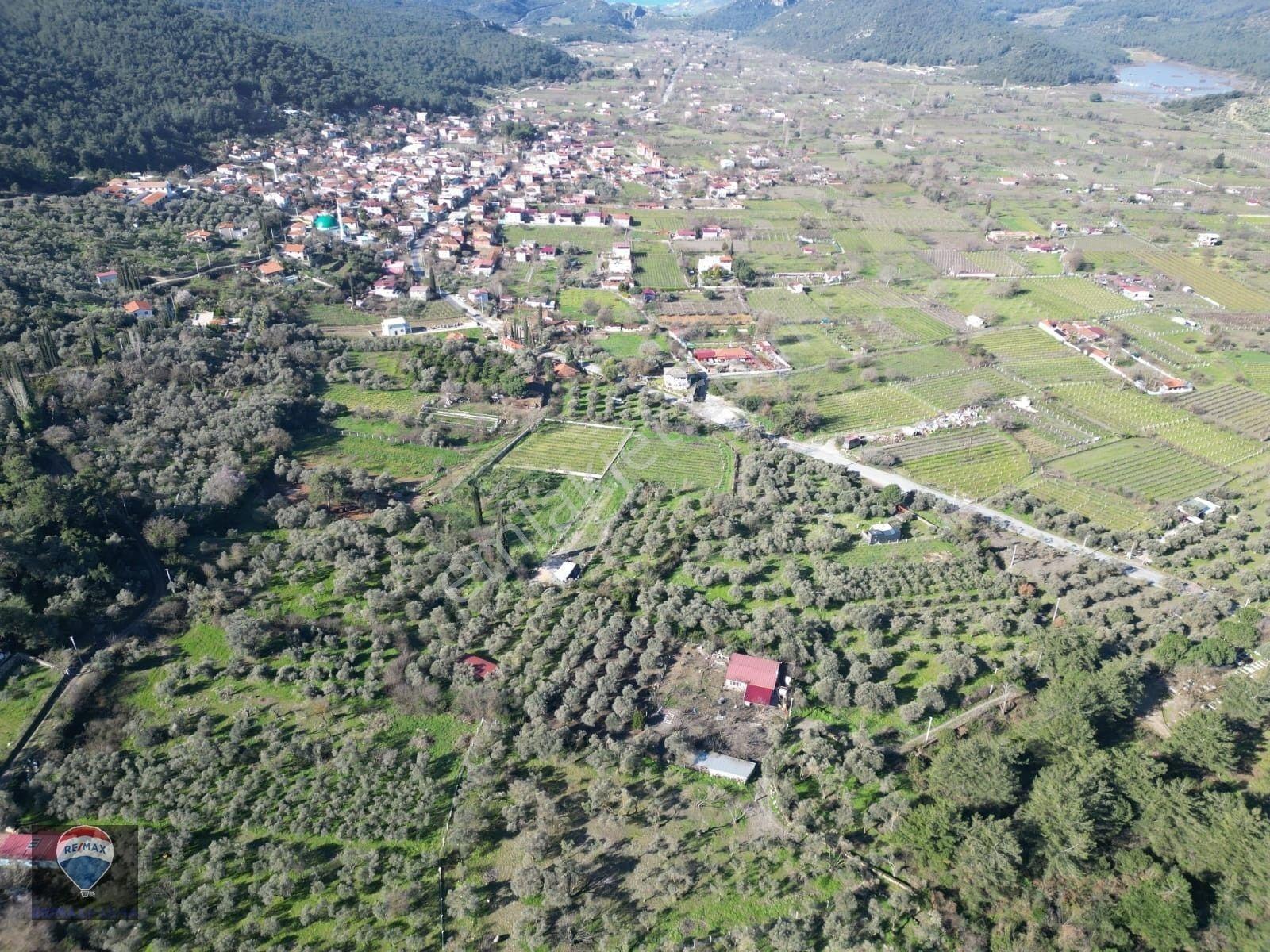 Kuşadası Kirazlıda Fırsat Bahçe — fotoğraf 17
