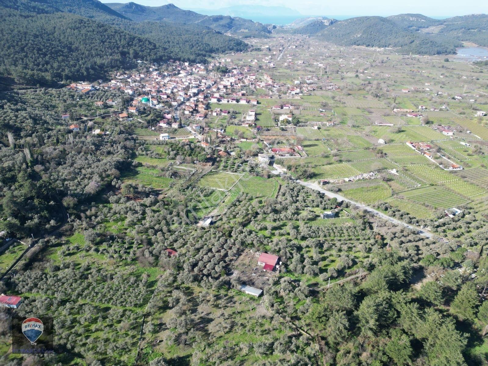 Kuşadası Kirazlıda Fırsat Bahçe — fotoğraf 18