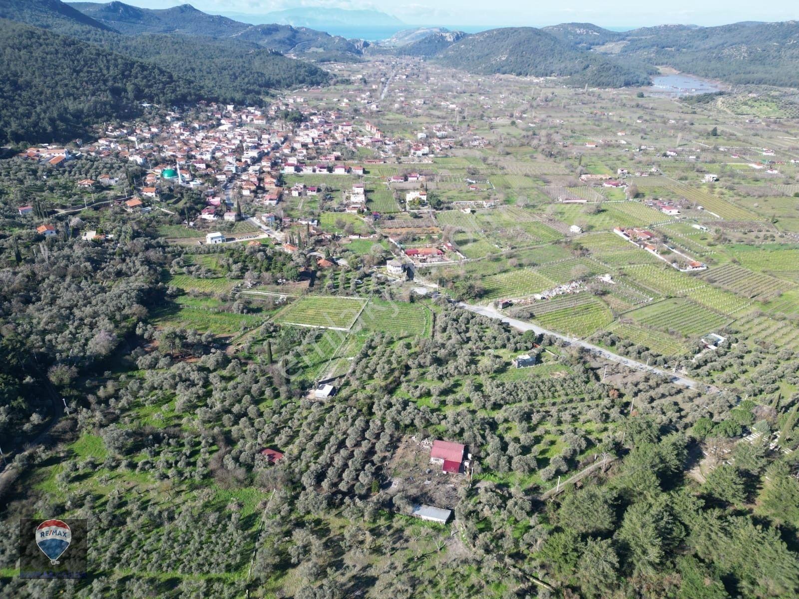 Kuşadası Kirazlıda Fırsat Bahçe — fotoğraf 19