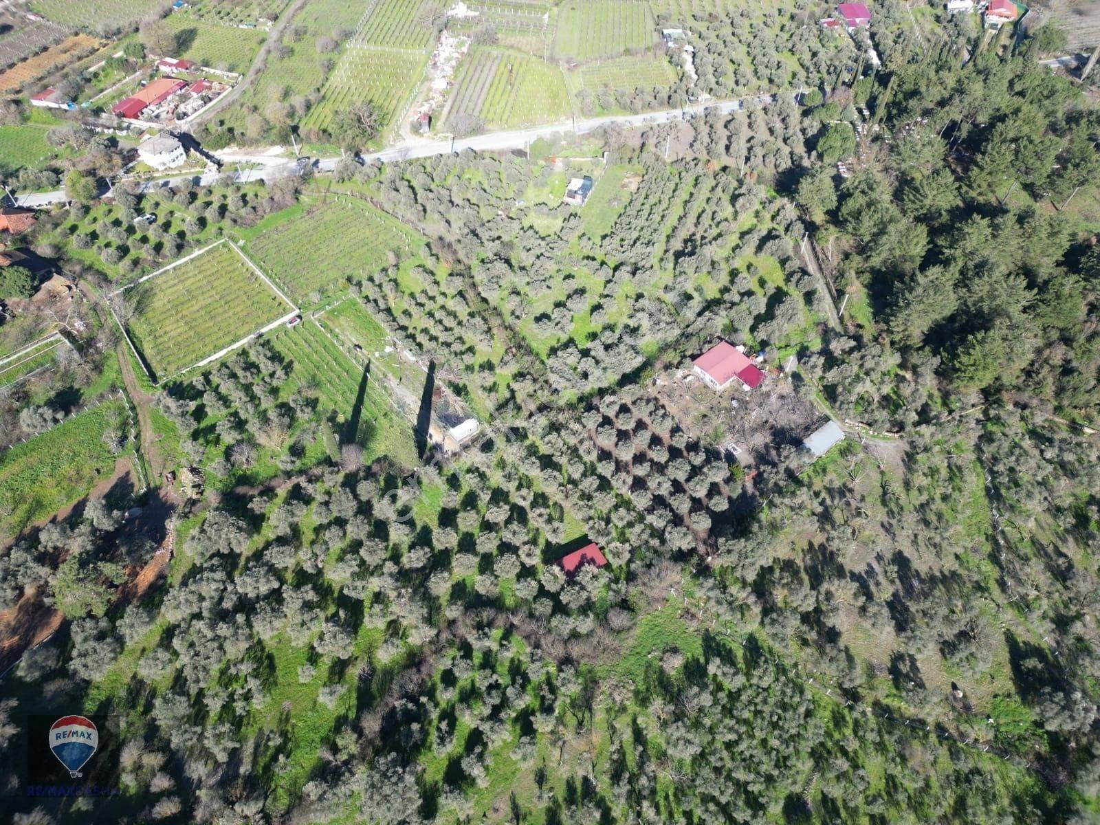 Kuşadası Kirazlıda Fırsat Bahçe — fotoğraf 20