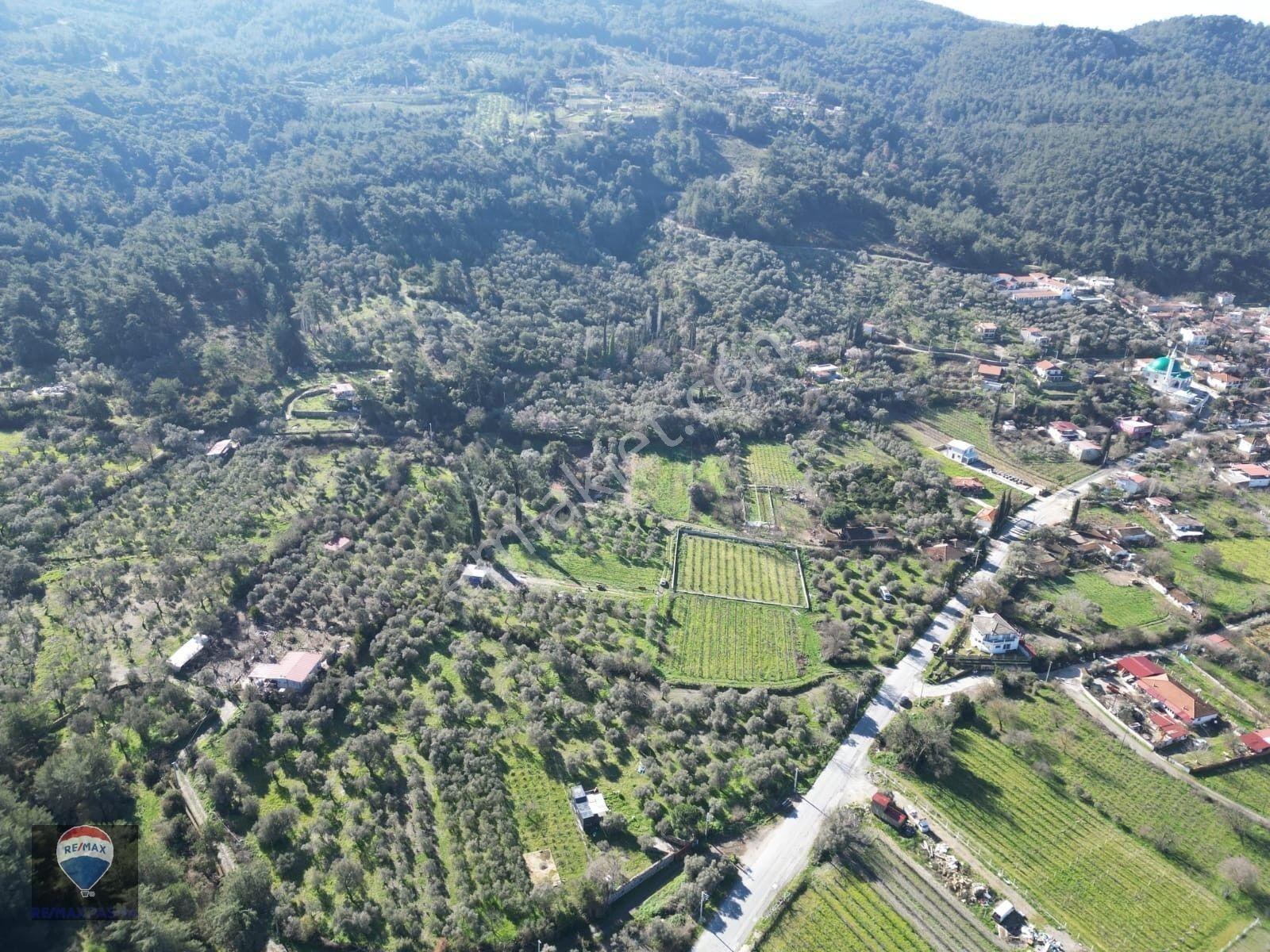 Kuşadası Kirazlıda Fırsat Bahçe — fotoğraf 21