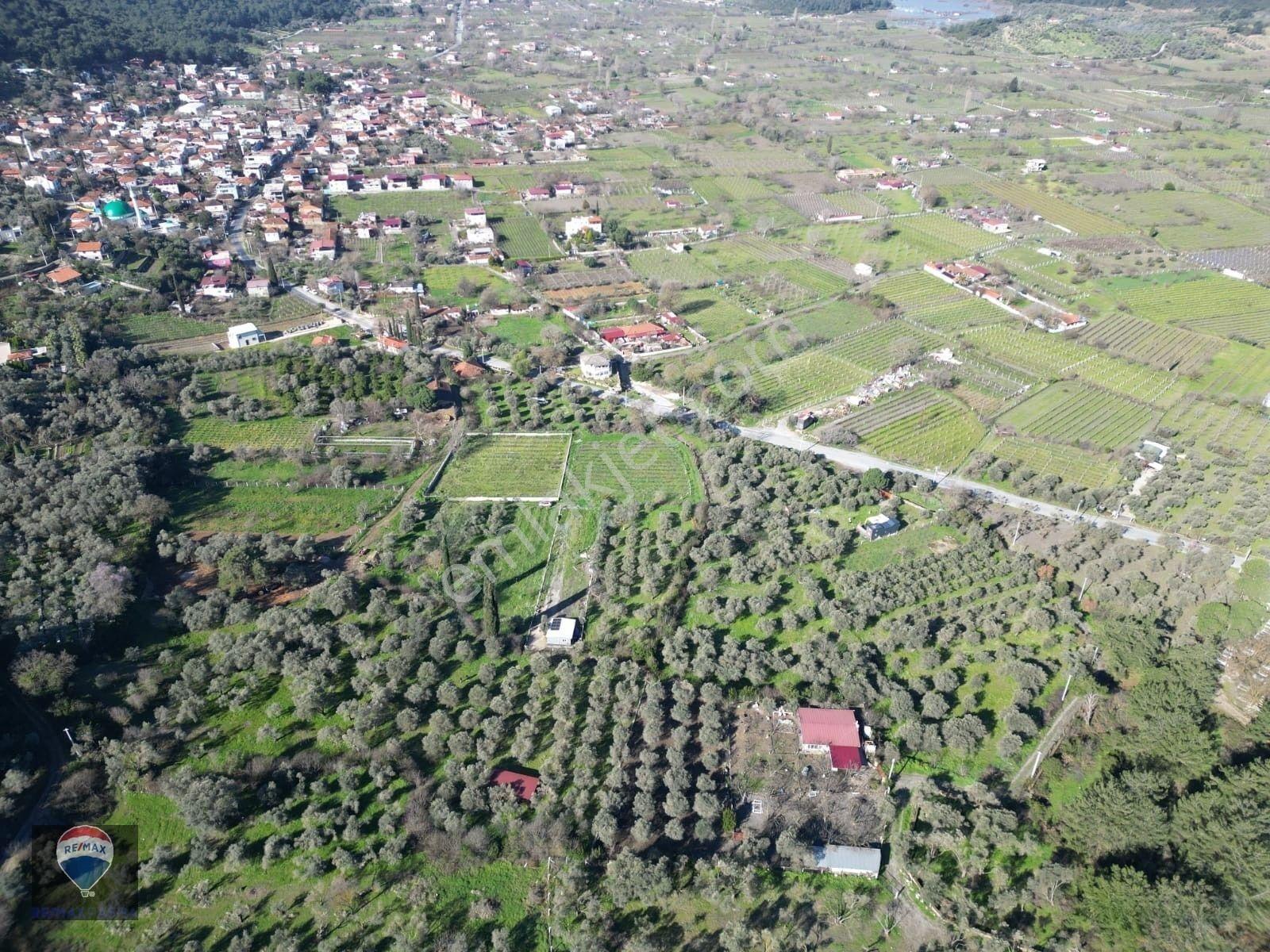 Kuşadası Kirazlıda Fırsat Bahçe — fotoğraf 23
