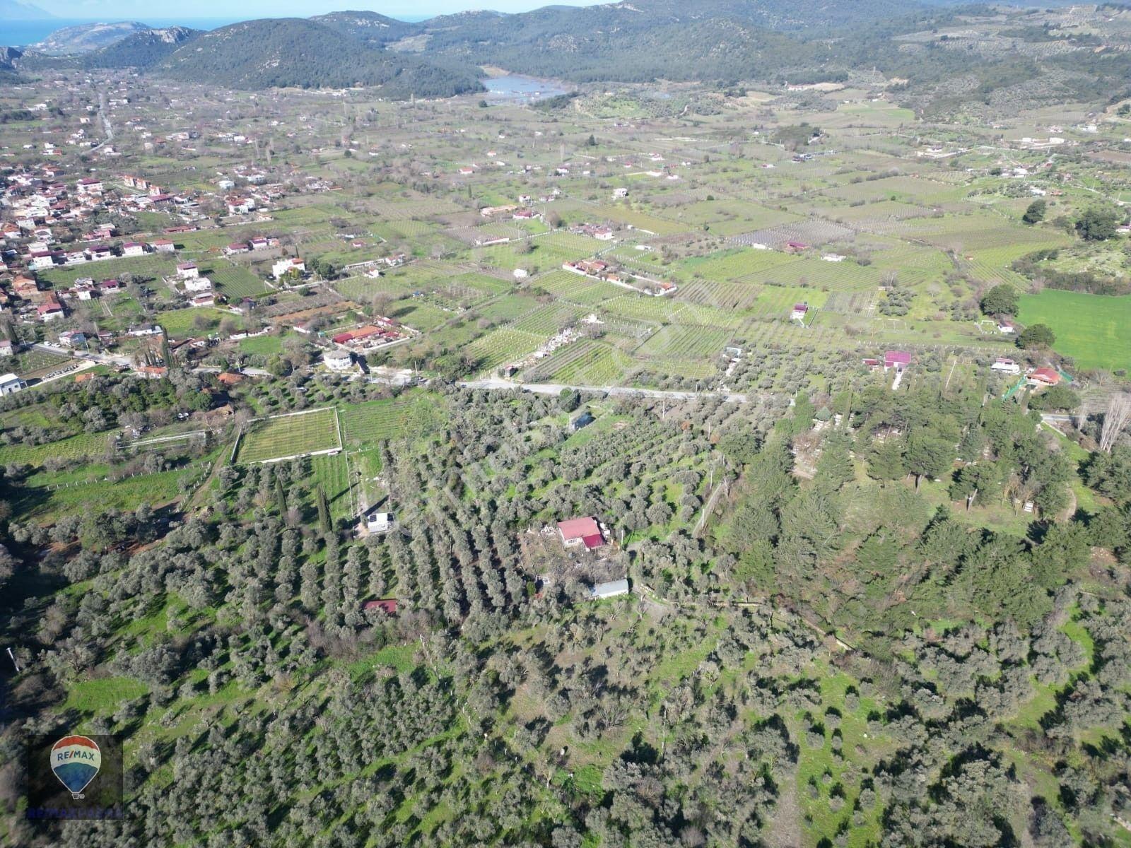 Kuşadası Kirazlıda Fırsat Bahçe — fotoğraf 24