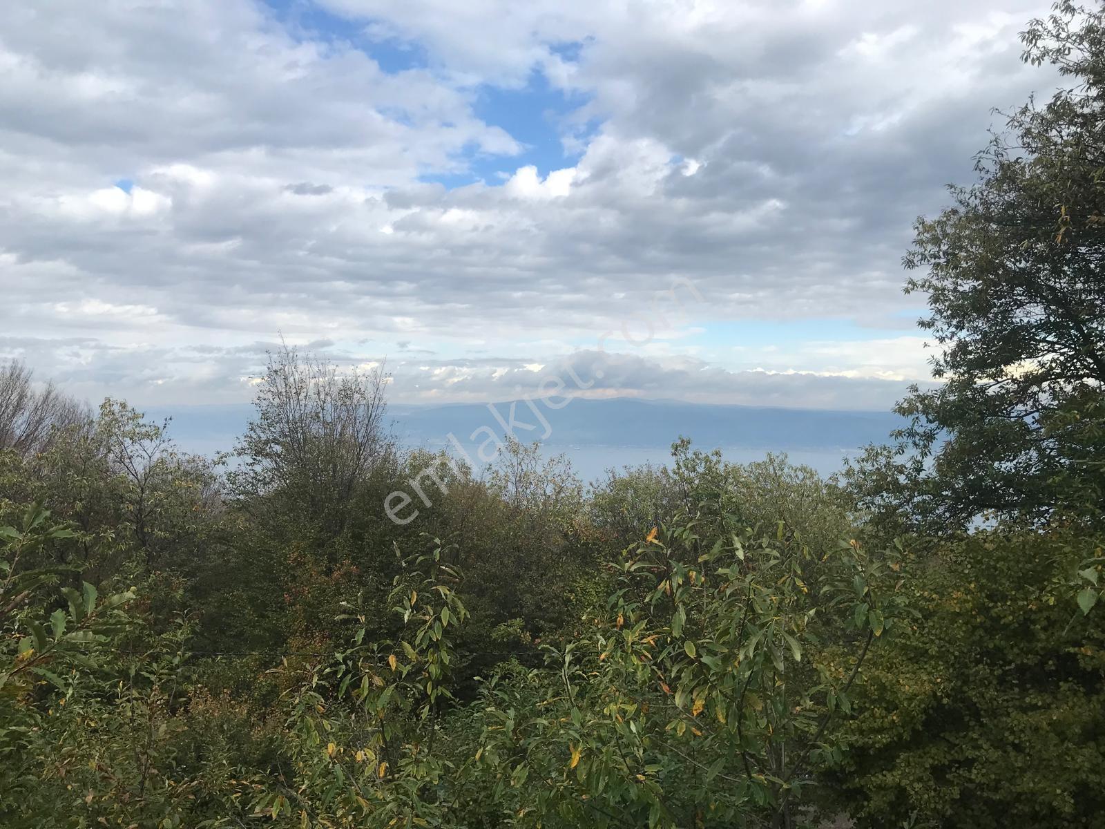Kocaeli Karamürsel Osmaniye Mah. Satılık Deniz Manzaralı Tarla