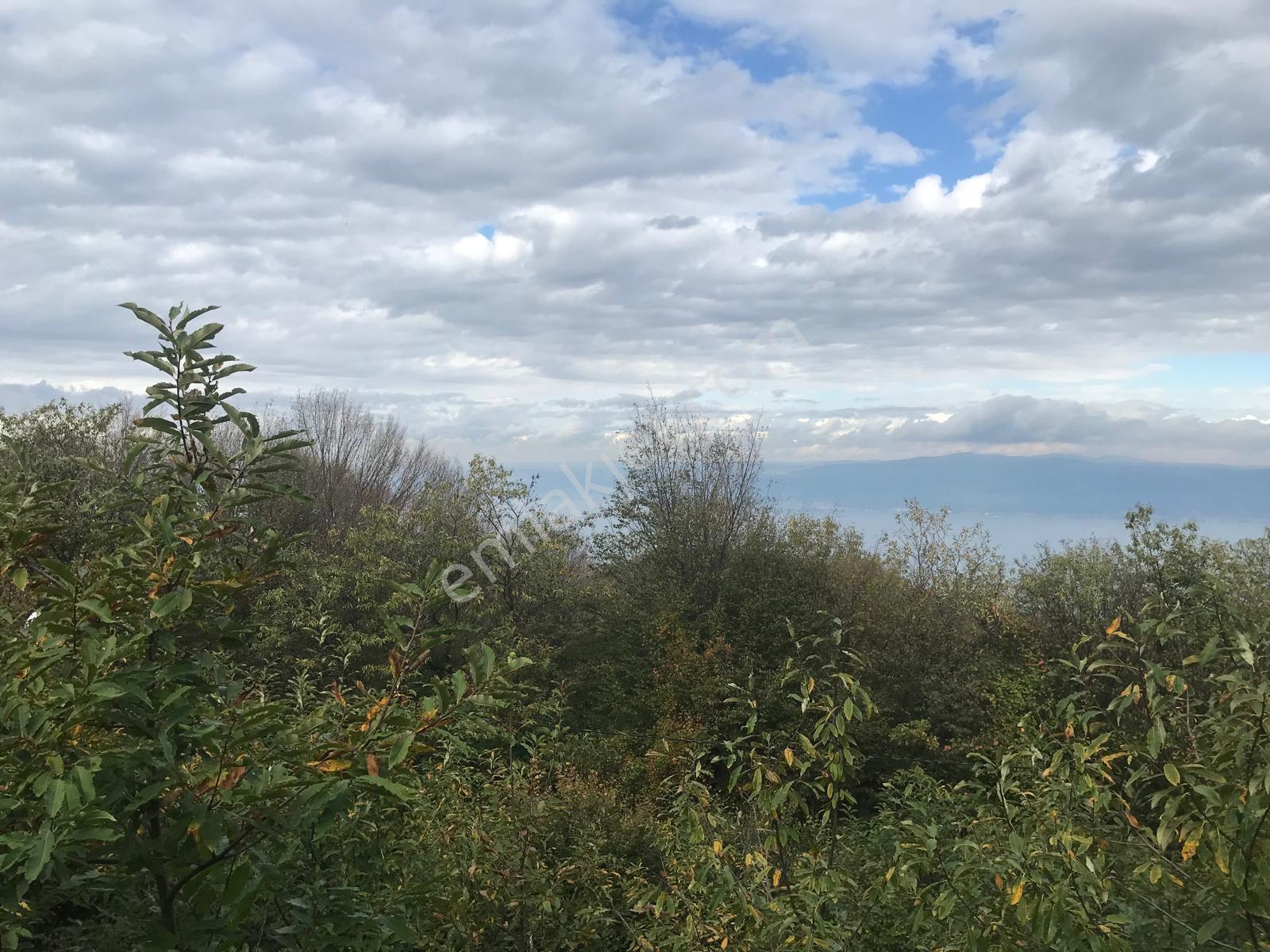 Kocaeli Karamürsel Osmaniye Mah. Satılık Deniz Manzaralı Tarla — fotoğraf 2