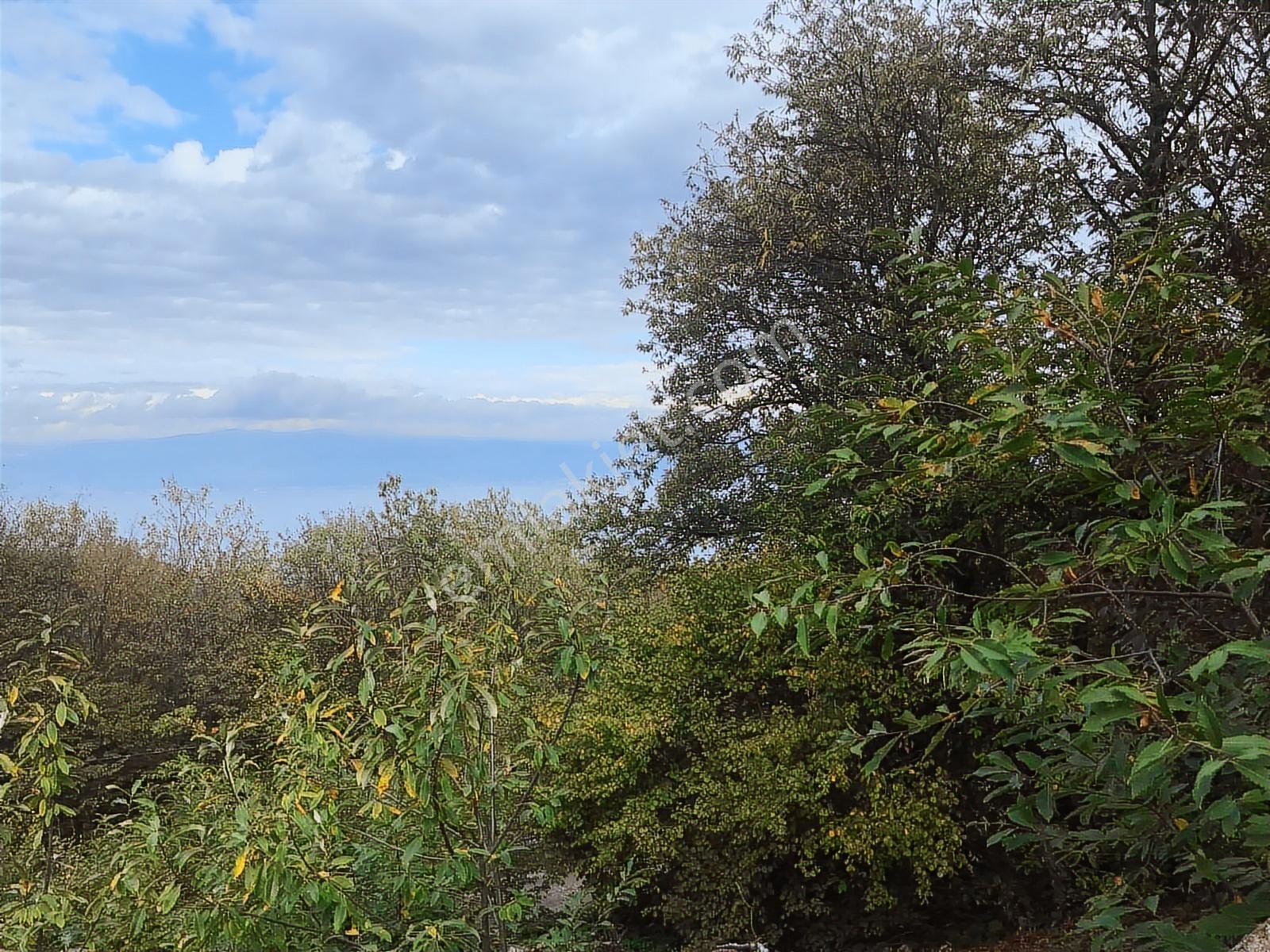 Kocaeli Karamürsel Osmaniye Mah. Satılık Deniz Manzaralı Tarla — fotoğraf 3