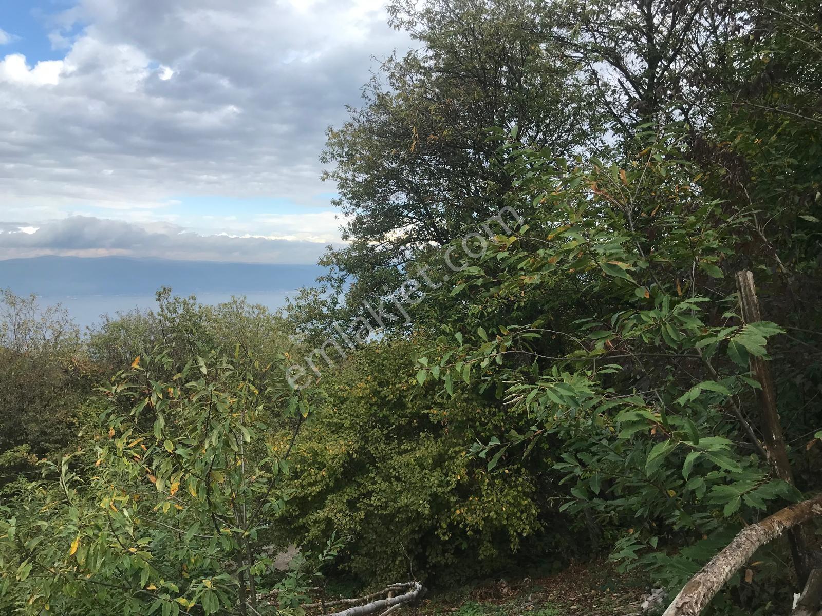 Kocaeli Karamürsel Osmaniye Mah. Satılık Deniz Manzaralı Tarla — fotoğraf 4