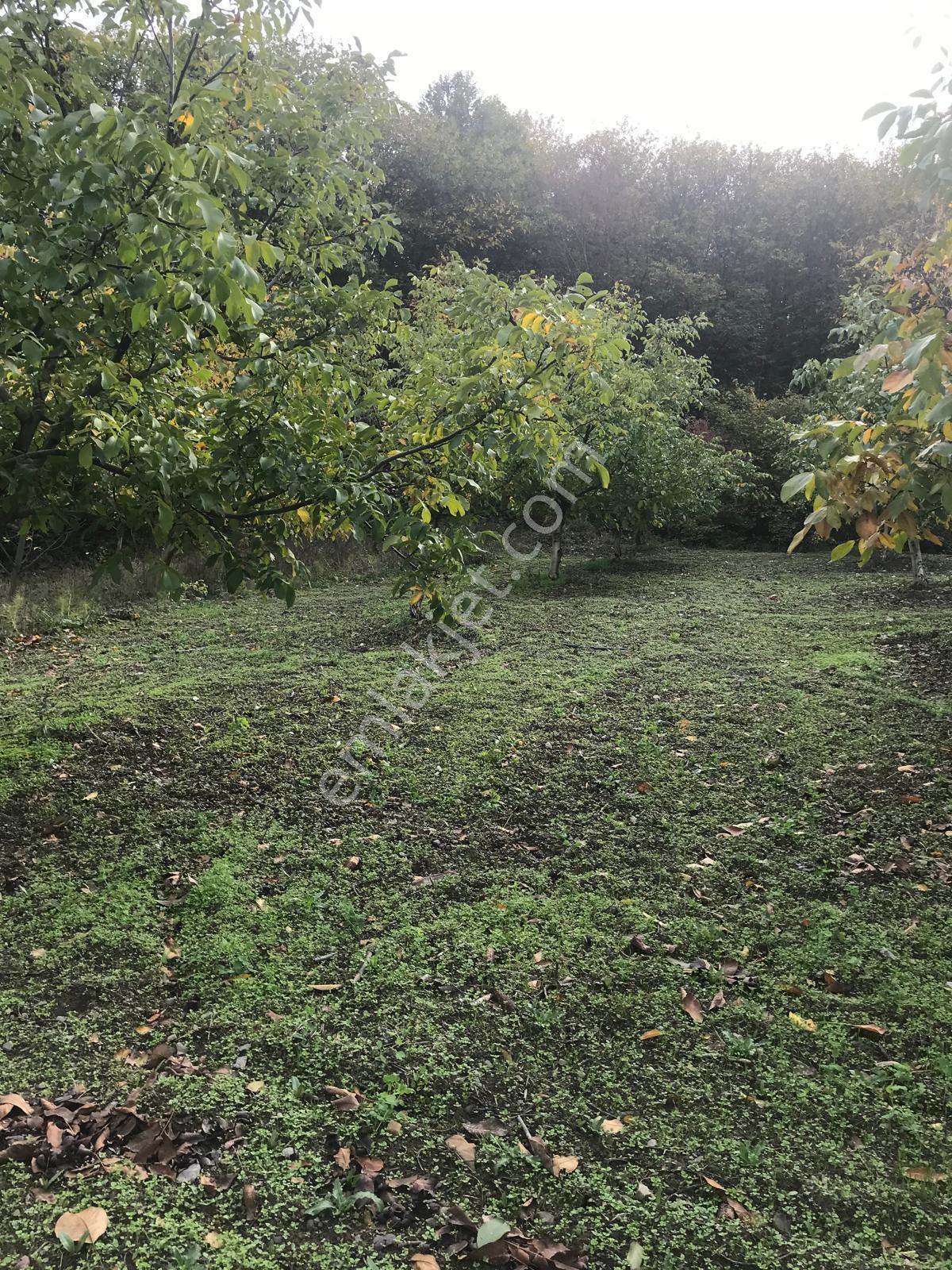 Kocaeli Karamürsel Osmaniye Mah. Satılık Deniz Manzaralı Tarla — fotoğraf 27