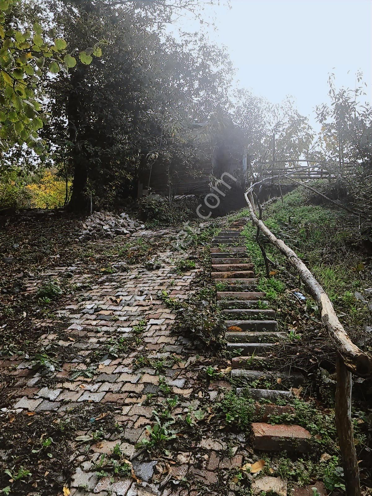 Kocaeli Karamürsel Osmaniye Mah. Satılık Deniz Manzaralı Tarla — fotoğraf 28