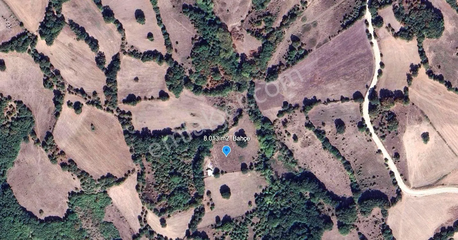 8.013 M2 Bağ Evi Ve Bahçesi. Keşif Arazi. Arazi Sahibi. — fotoğraf 3