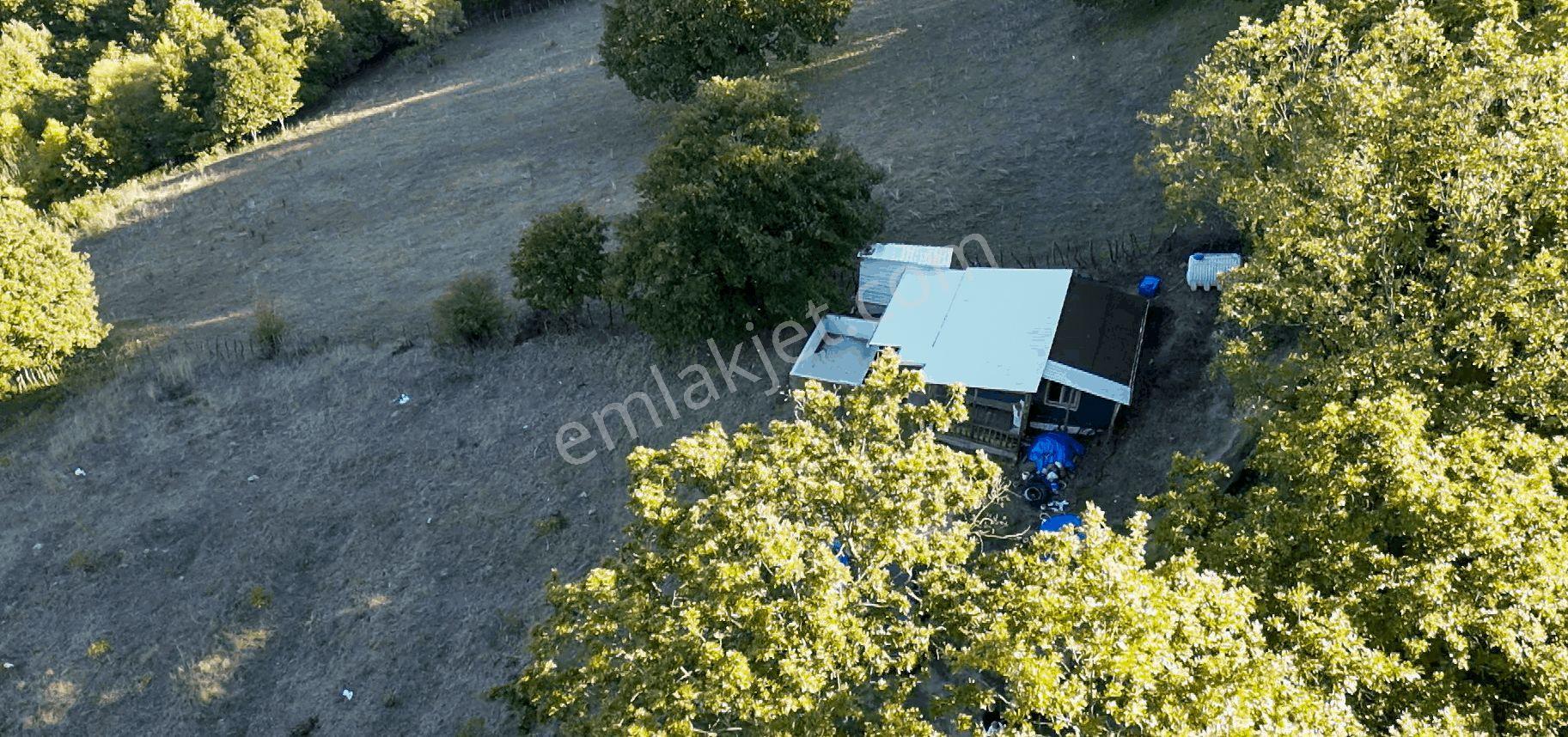 8.013 M2 Bağ Evi Ve Bahçesi. Keşif Arazi. Arazi Sahibi. — fotoğraf 10
