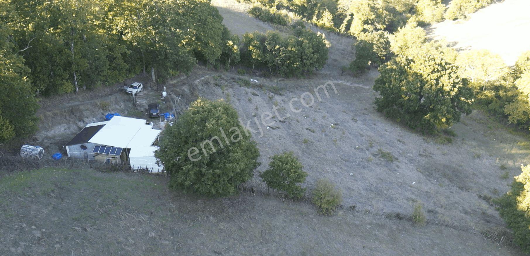 8.013 M2 Bağ Evi Ve Bahçesi. Keşif Arazi. Arazi Sahibi. — fotoğraf 13