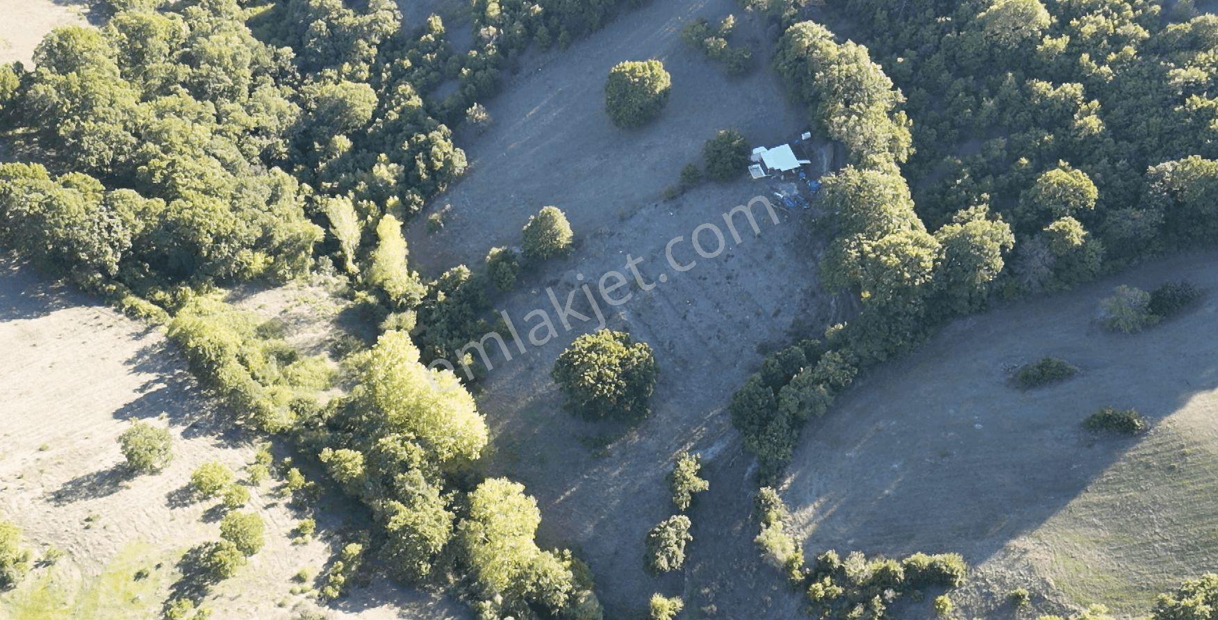 8.013 M2 Bağ Evi Ve Bahçesi. Keşif Arazi. Arazi Sahibi. — fotoğraf 20
