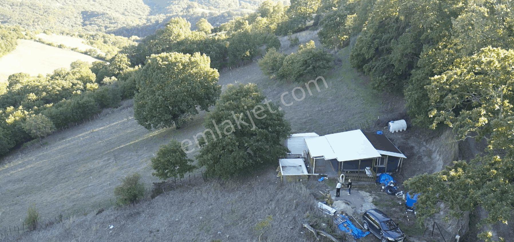 8.013 M2 Bağ Evi Ve Bahçesi. Keşif Arazi. Arazi Sahibi. — fotoğraf 25