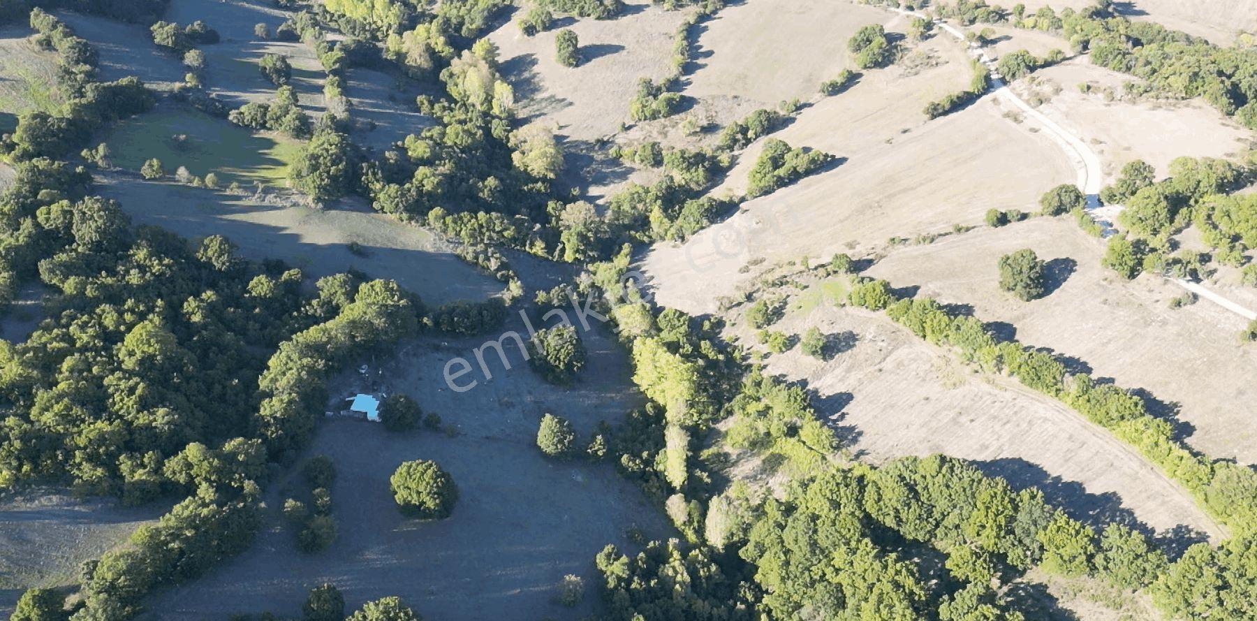 8.013 M2 Bağ Evi Ve Bahçesi. Keşif Arazi. Arazi Sahibi. — fotoğraf 32