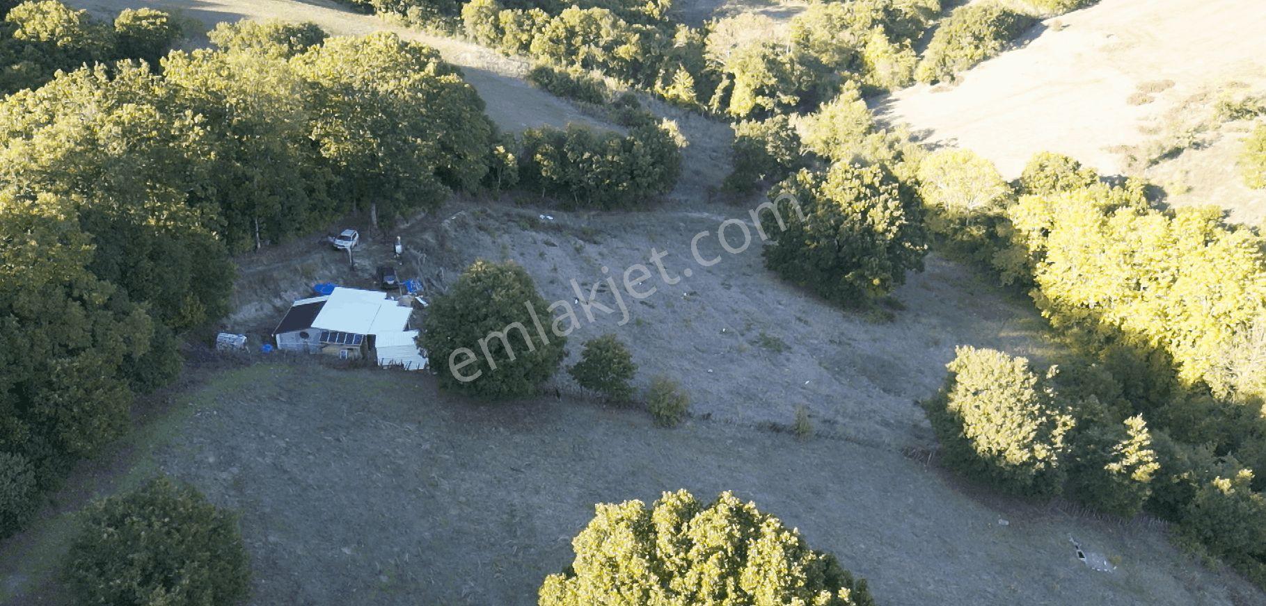 8.013 M2 Bağ Evi Ve Bahçesi. Keşif Arazi. Arazi Sahibi. — fotoğraf 45