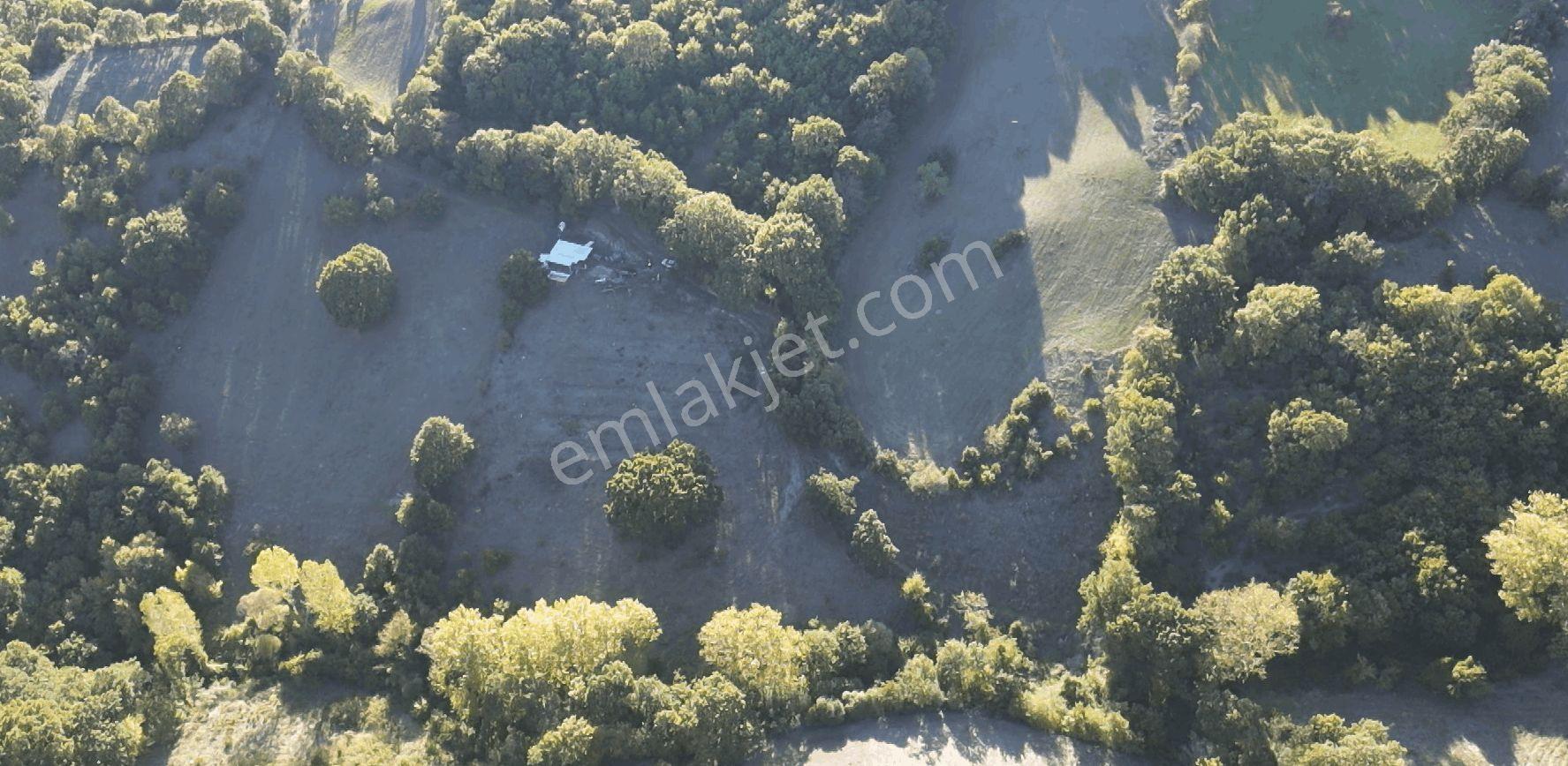 8.013 M2 Bağ Evi Ve Bahçesi. Keşif Arazi. Arazi Sahibi. — fotoğraf 52