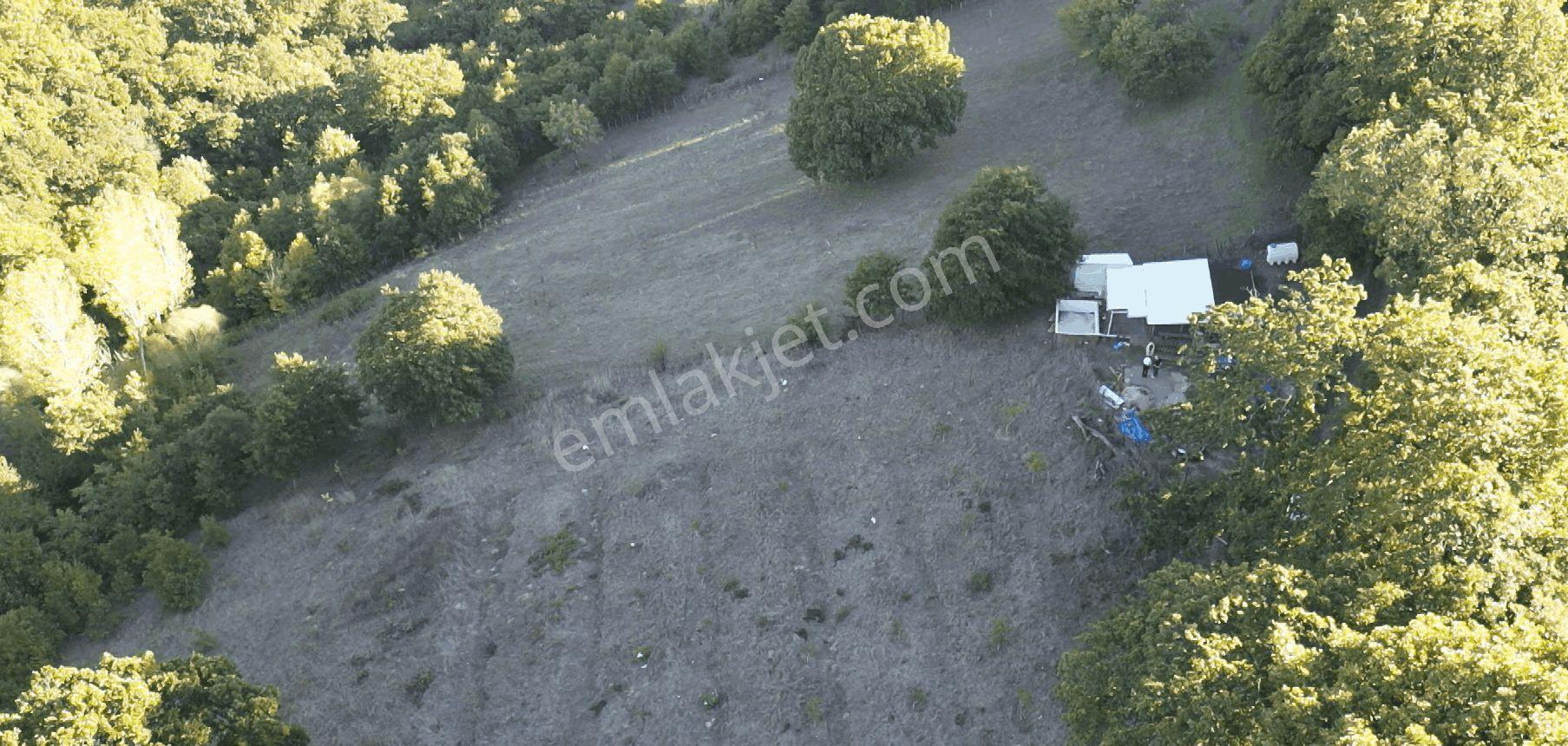 8.013 M2 Bağ Evi Ve Bahçesi. Keşif Arazi. Arazi Sahibi. — fotoğraf 53