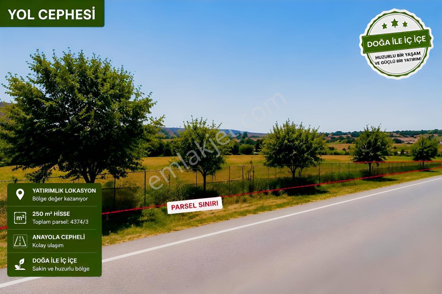 Silivri Büyüksinekli'de Yola Cepheli 250 M² Hisse | Yatırımlık — fotoğraf 4