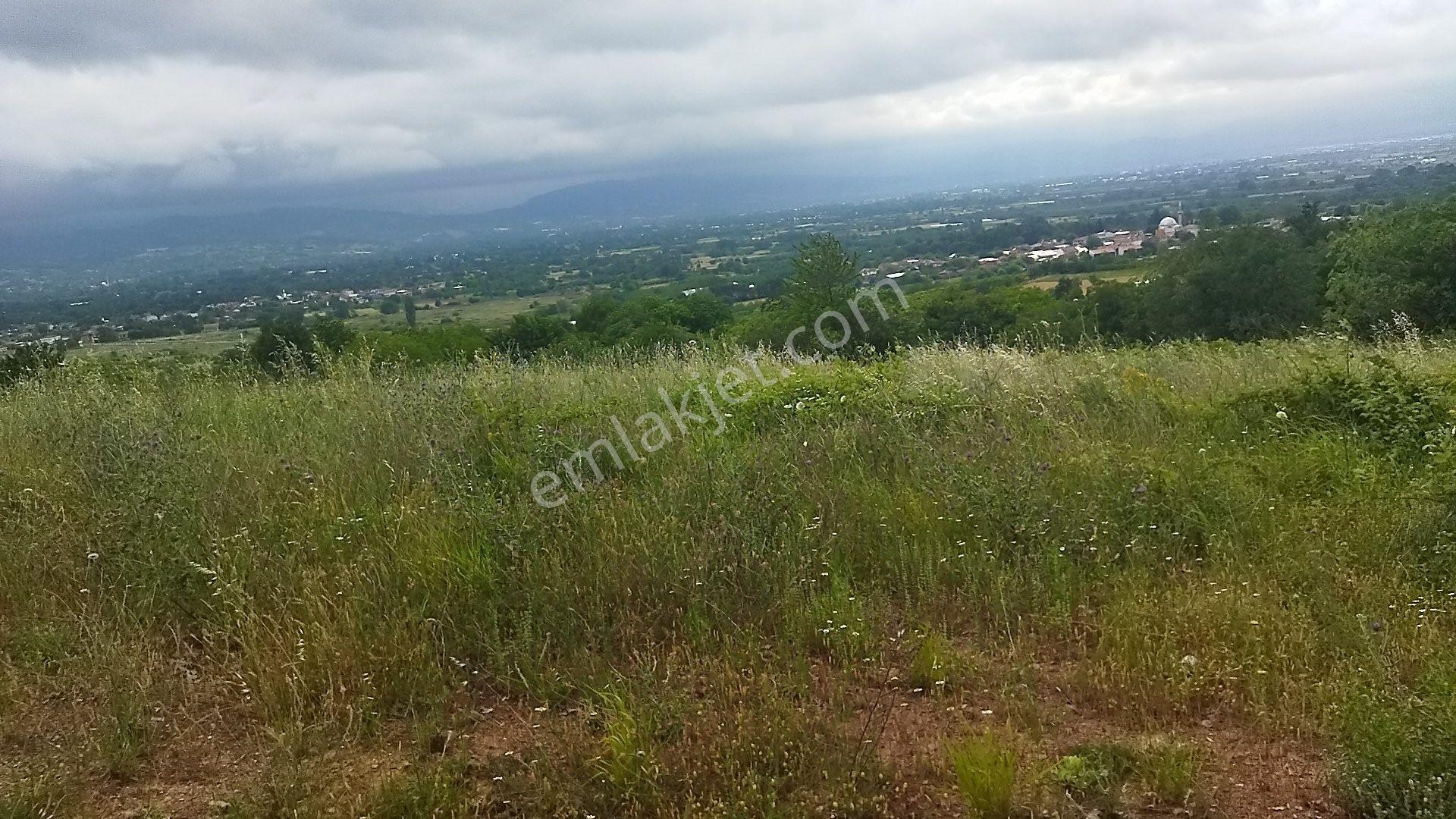 İnegöl Küçükyenice'De Doğa Manzaralı 2058 M² Satılık Tarla