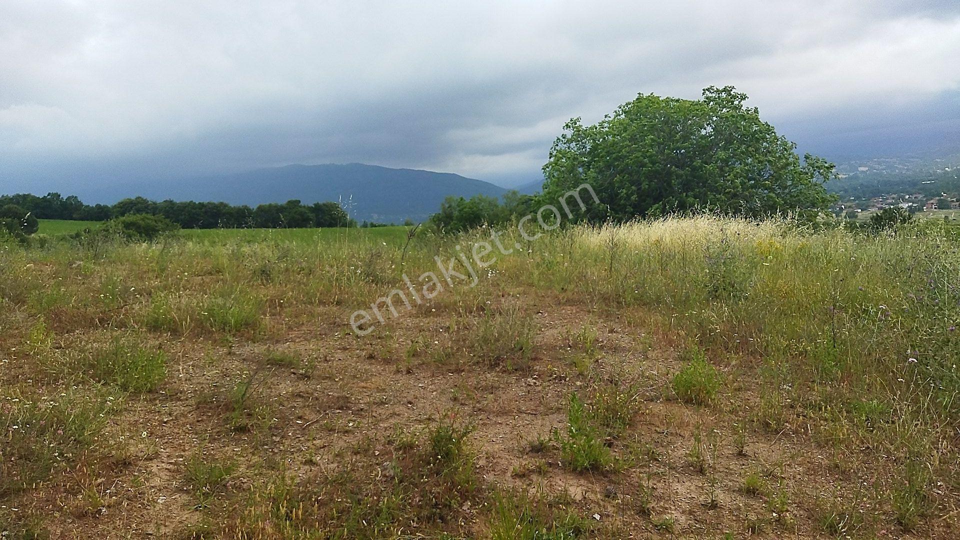 İnegöl Küçükyenice'de Doğa Manzaralı 2058 M² Satılık Tarla — fotoğraf 2