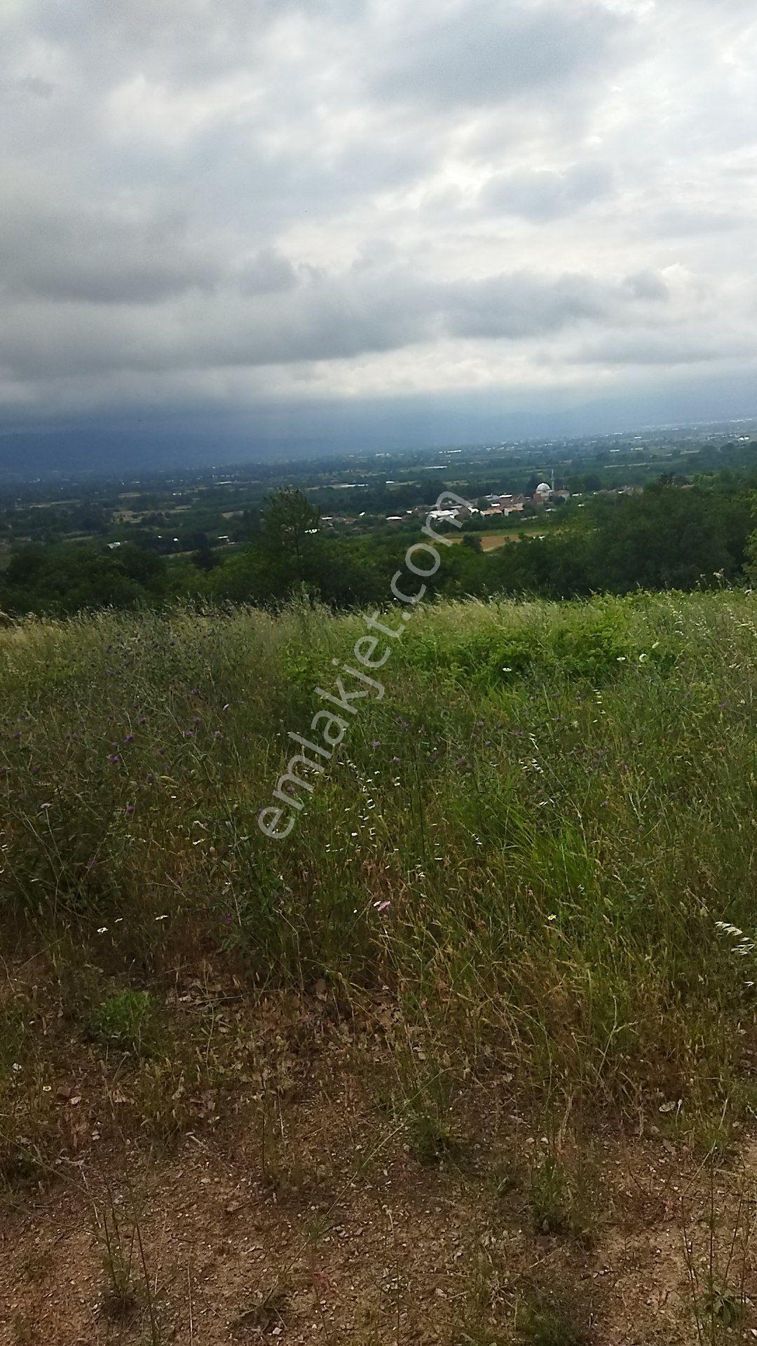 İnegöl Küçükyenice'de Doğa Manzaralı 2058 M² Satılık Tarla — fotoğraf 3