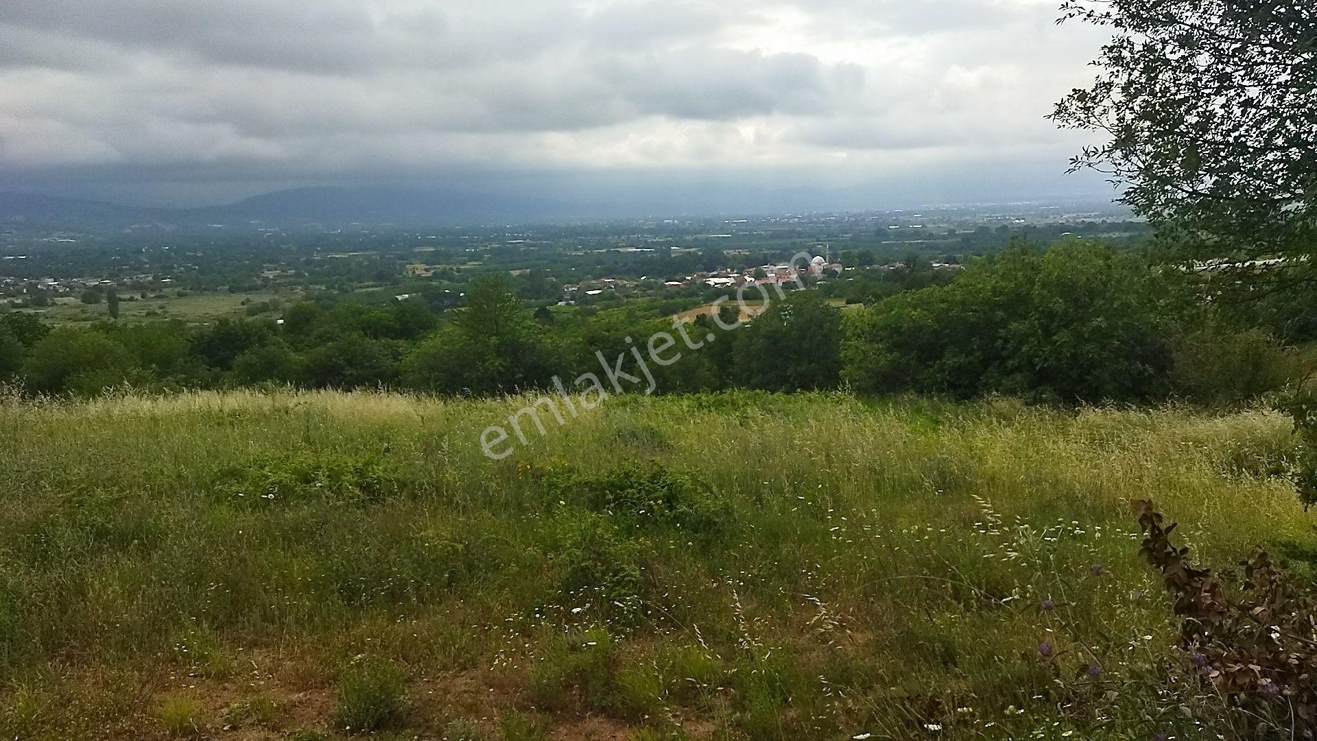 İnegöl Küçükyenice'de Doğa Manzaralı 2058 M² Satılık Tarla — fotoğraf 4