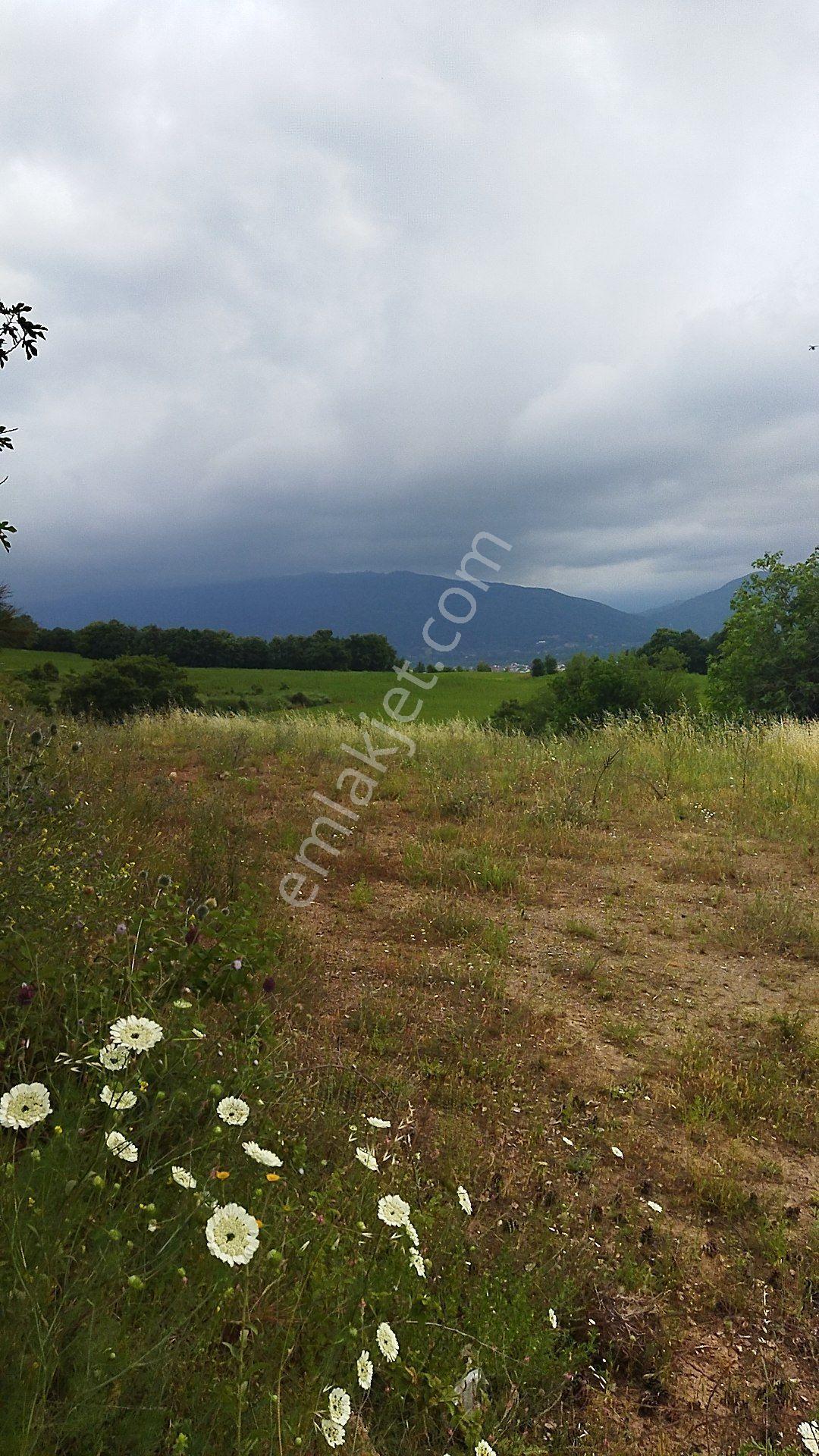 İnegöl Küçükyenice'de Doğa Manzaralı 2058 M² Satılık Tarla — fotoğraf 5
