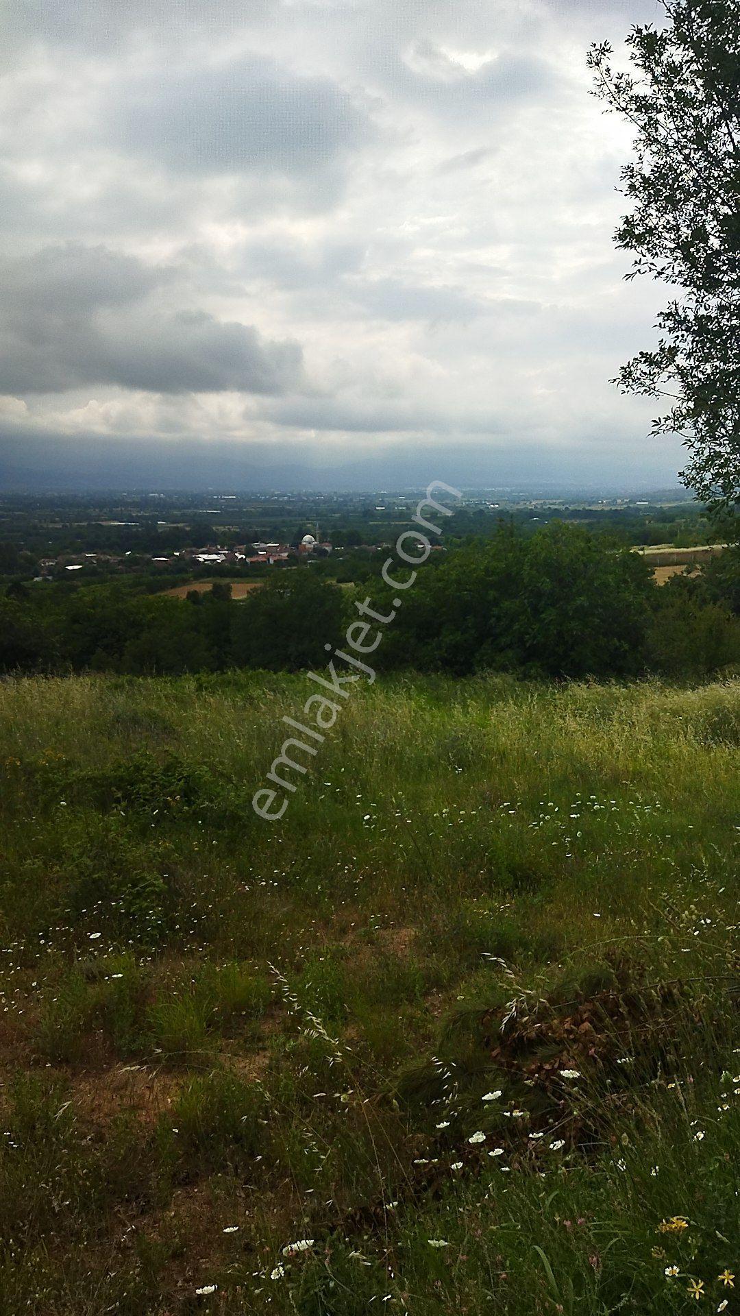 İnegöl Küçükyenice'de Doğa Manzaralı 2058 M² Satılık Tarla — fotoğraf 6
