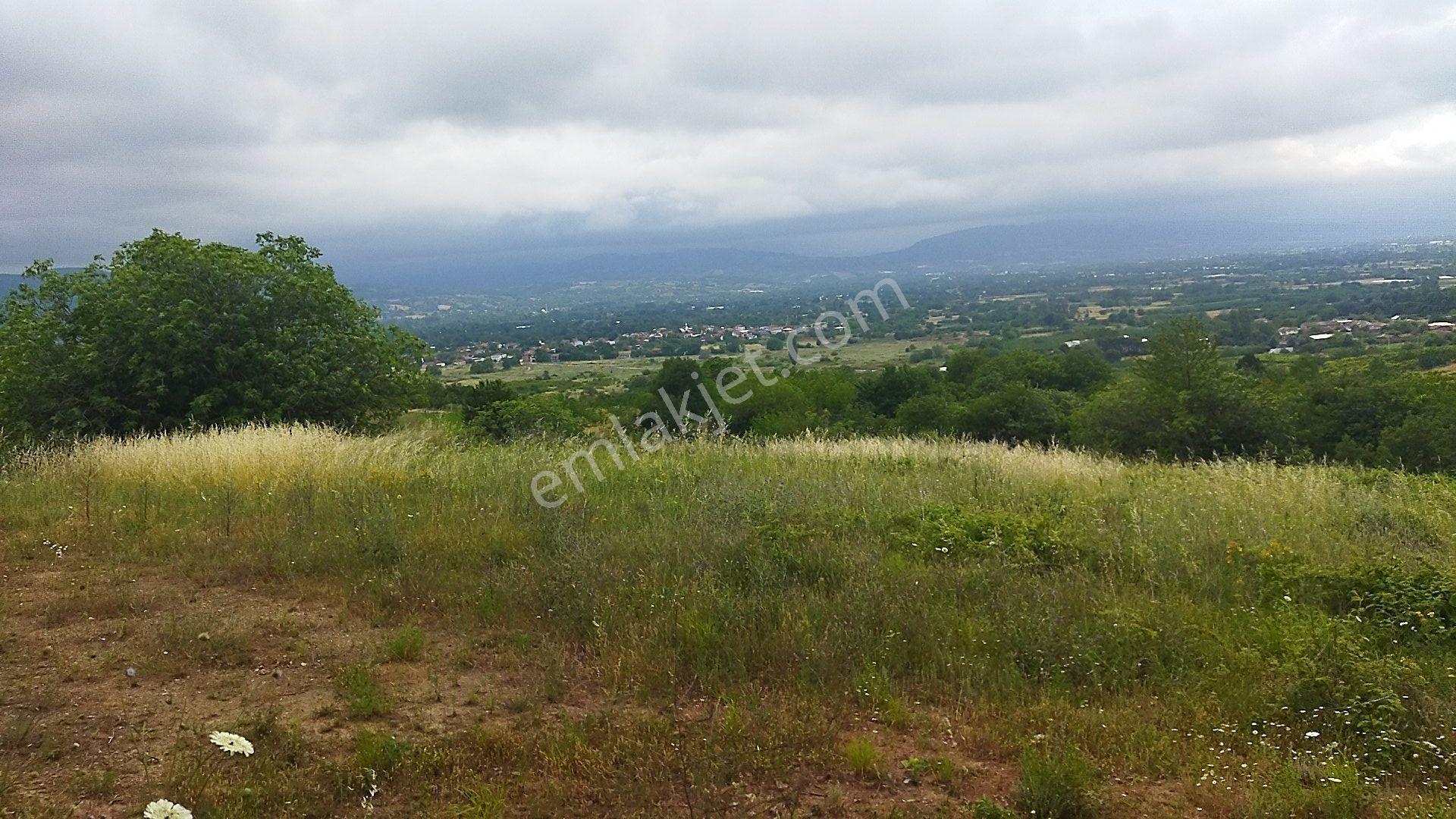 İnegöl Küçükyenice'de Doğa Manzaralı 2058 M² Satılık Tarla — fotoğraf 7