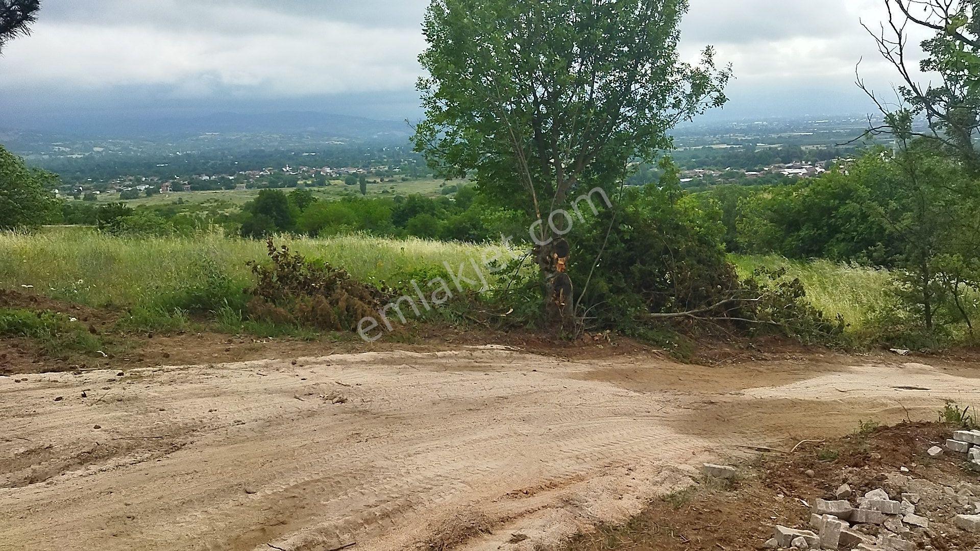 İnegöl Küçükyenice'de Doğa Manzaralı 2058 M² Satılık Tarla — fotoğraf 8