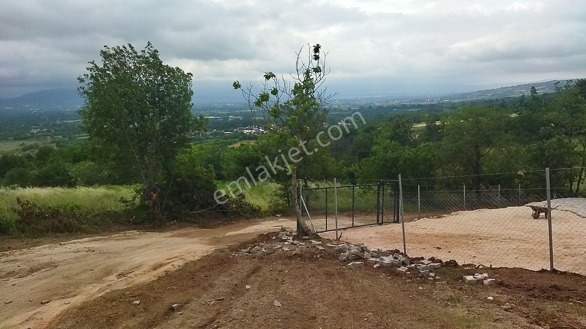 İnegöl Küçükyenice'de Doğa Manzaralı 2058 M² Satılık Tarla — fotoğraf 9