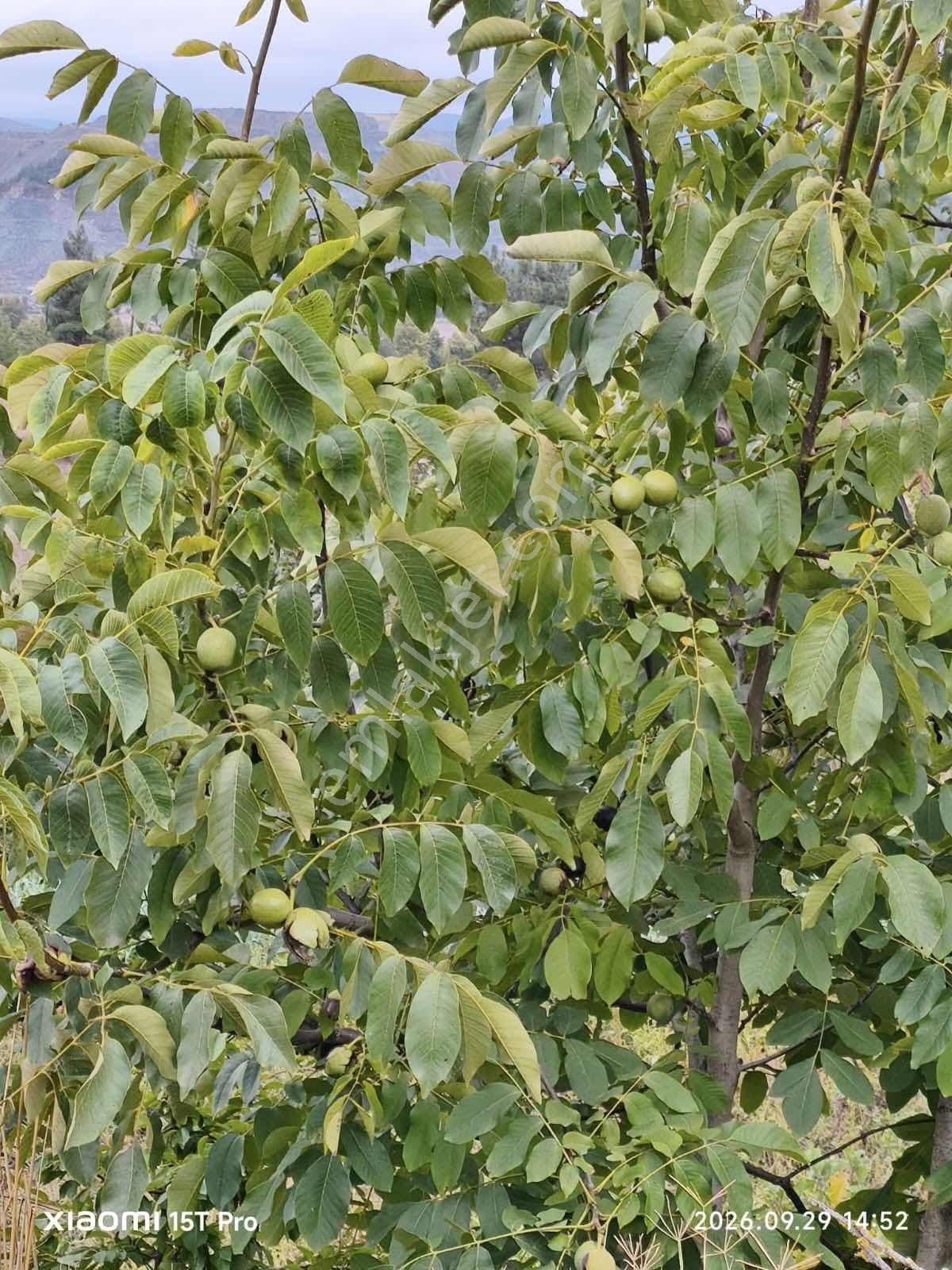 Orhaneli Akçabük Konut İmarlı Arsa — fotoğraf 4