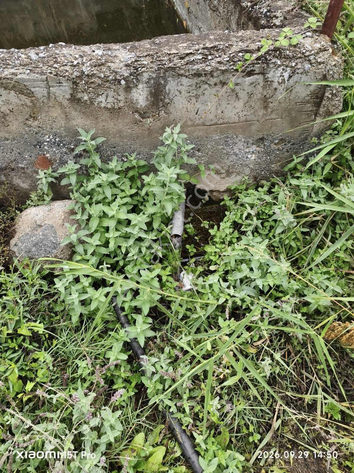 Orhaneli Akçabük Konut İmarlı Arsa — fotoğraf 13