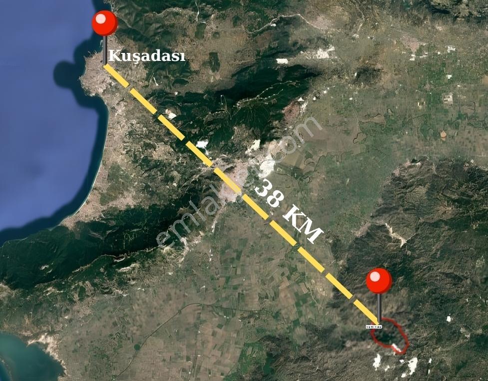 Aydın Söke Güzeltepe'de Ova Manzaralı Çift Parsel Zeytinlik — fotoğraf 6