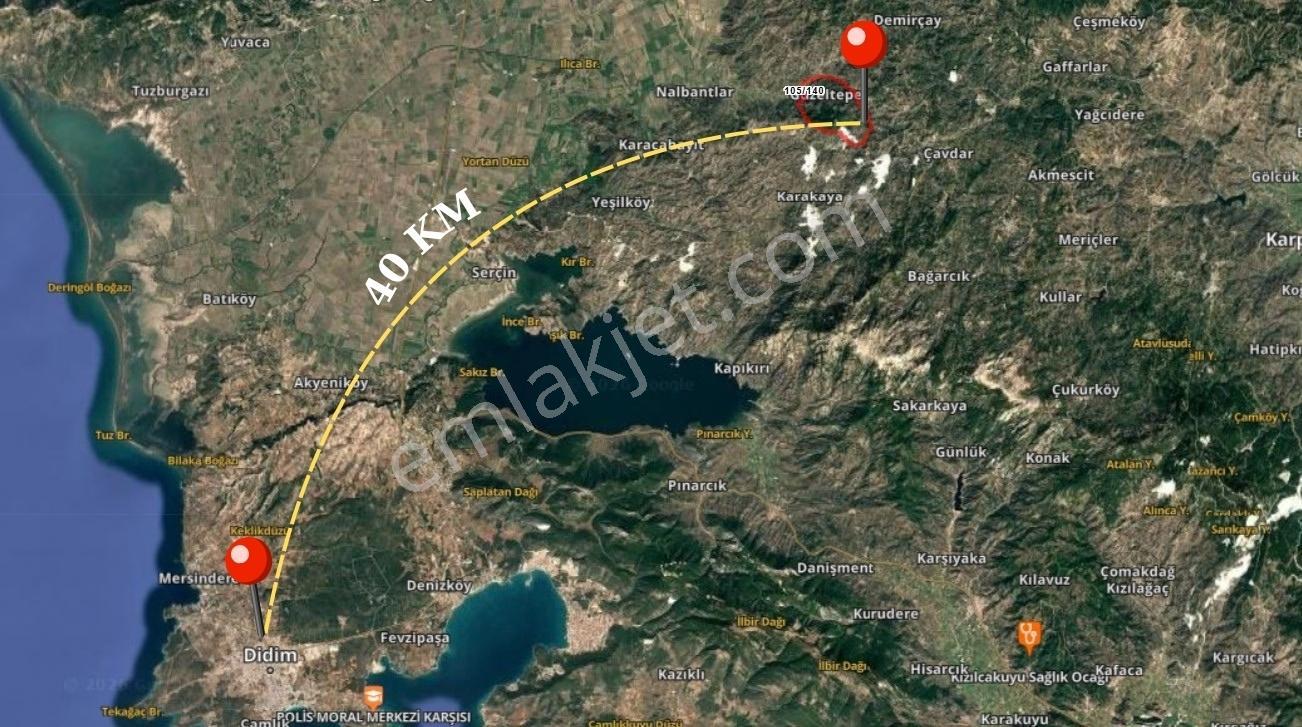 Aydın Söke Güzeltepe'de Ova Manzaralı Çift Parsel Zeytinlik — fotoğraf 7