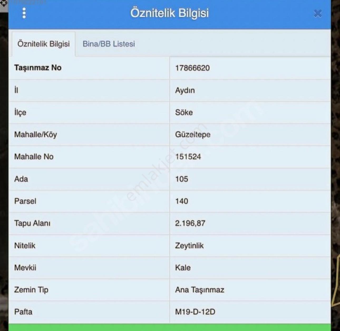 Aydın Söke Güzeltepe'de Ova Manzaralı Çift Parsel Zeytinlik — fotoğraf 23
