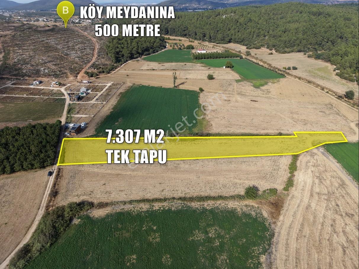 Q'Zen Den Çakaltepe De 7300 M2 Tek Tapu Satılık
