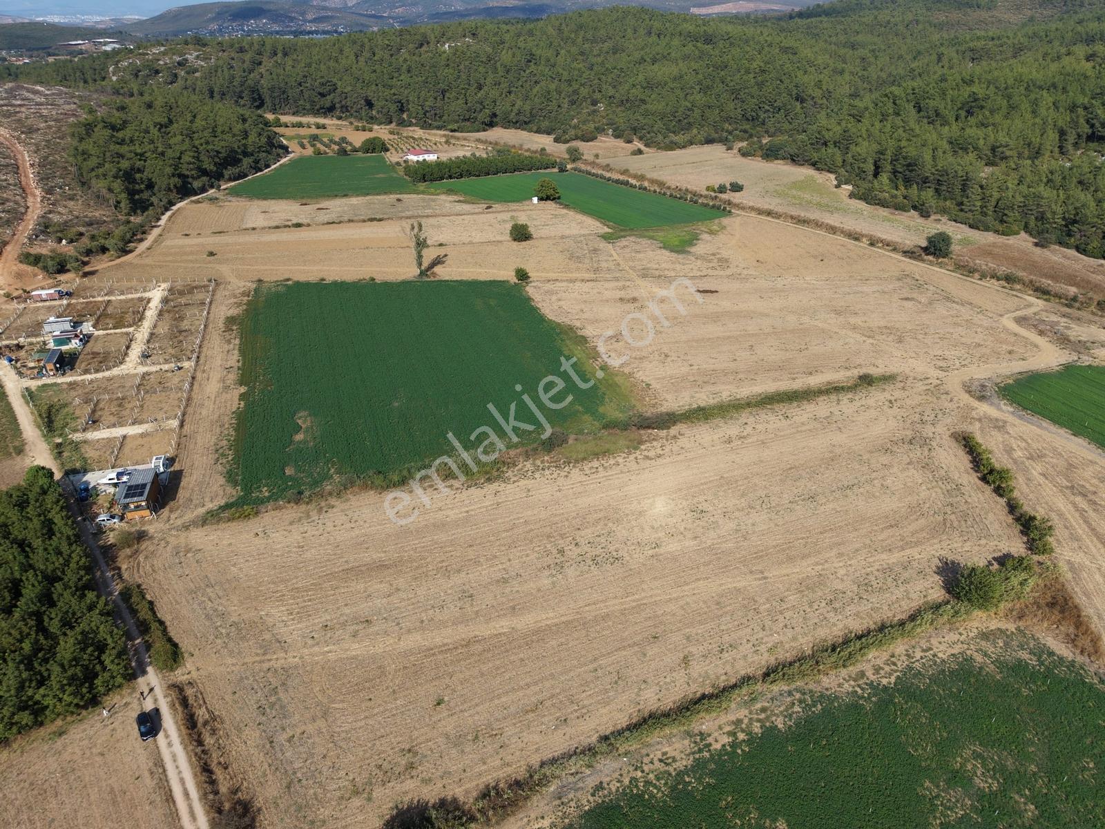Q'zen Den Çakaltepe De 7300 M2 Tek Tapu Satılık — fotoğraf 2