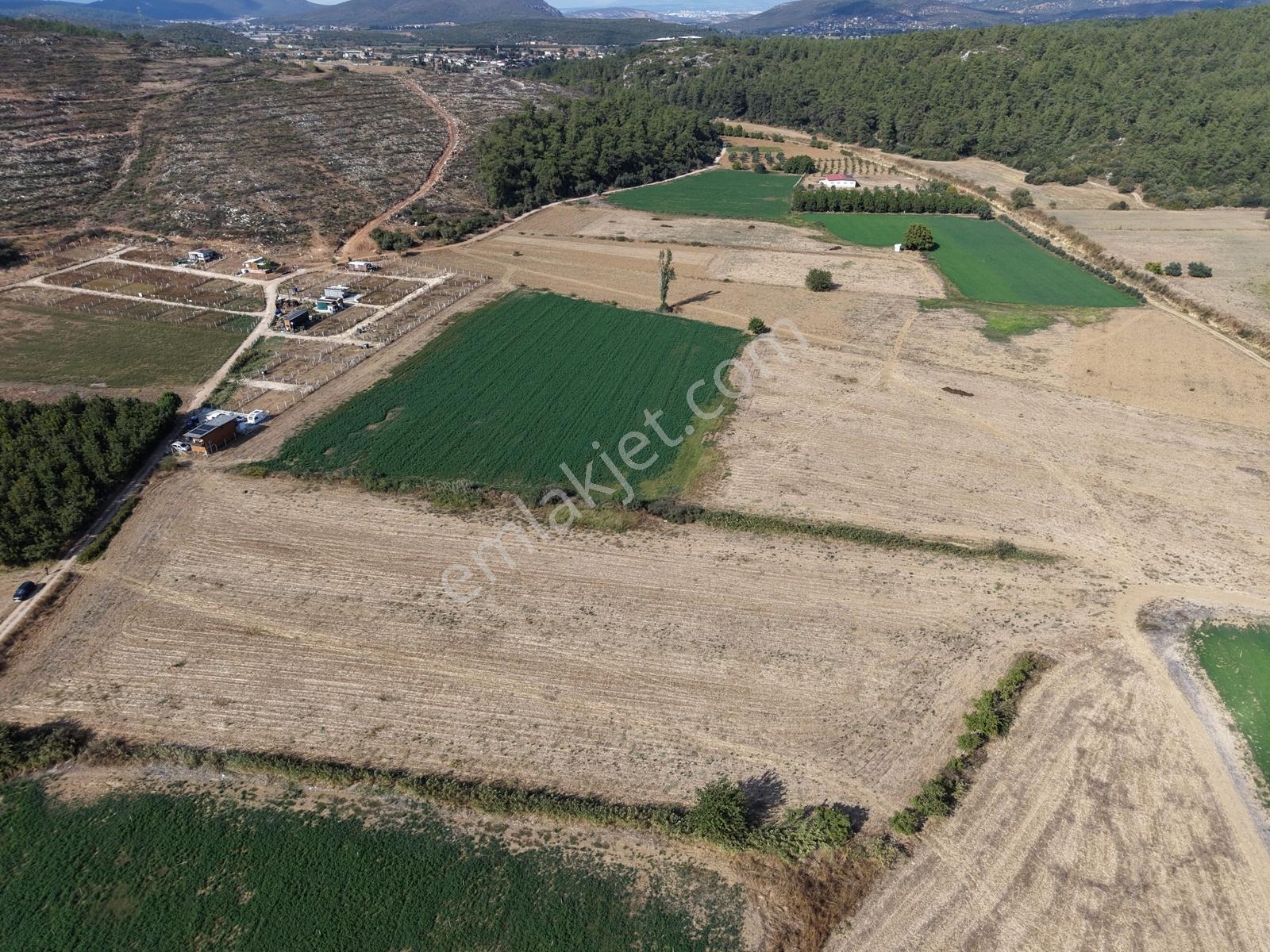 Q'zen Den Çakaltepe De 7300 M2 Tek Tapu Satılık — fotoğraf 3
