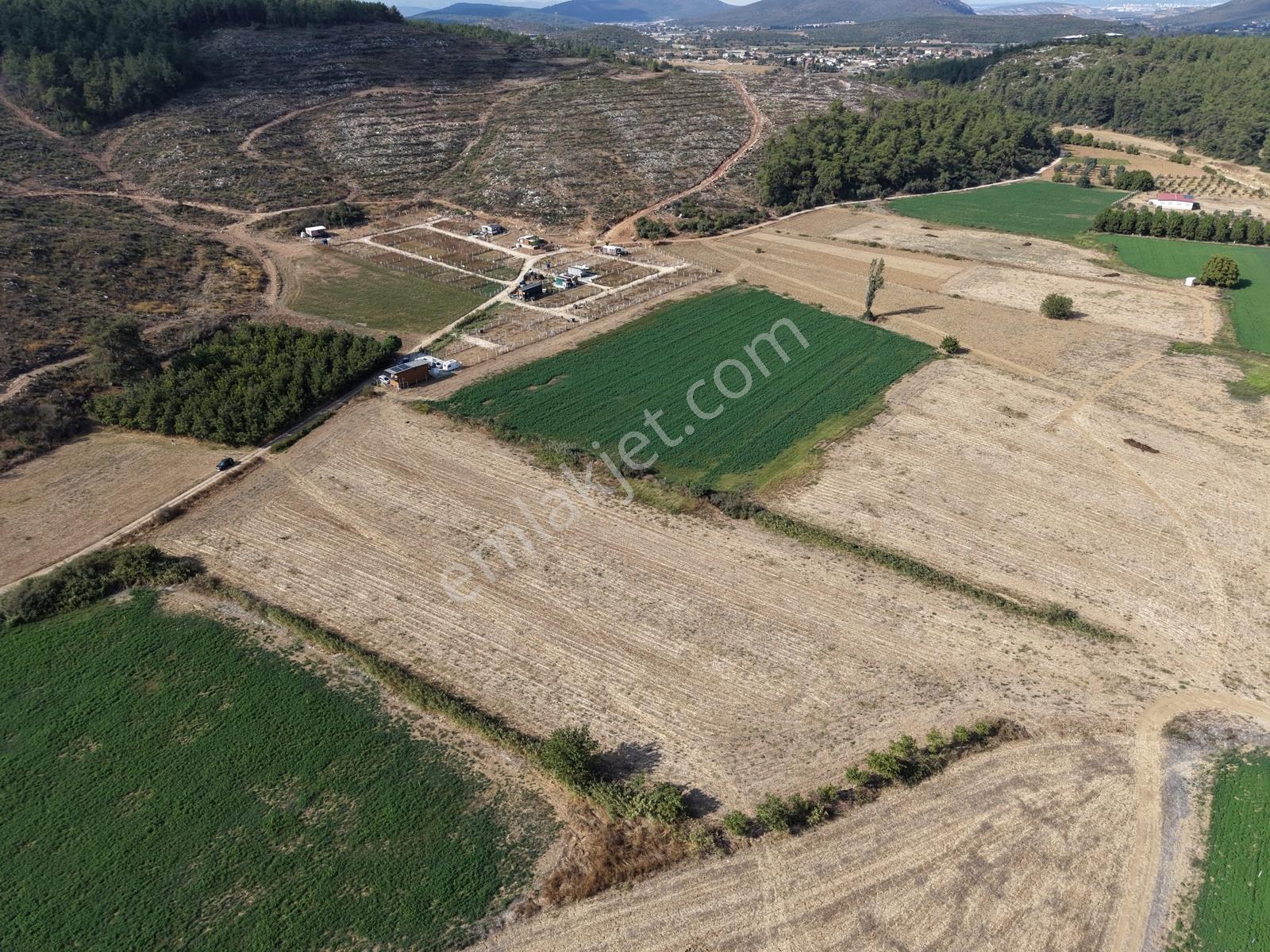 Q'zen Den Çakaltepe De 7300 M2 Tek Tapu Satılık — fotoğraf 4