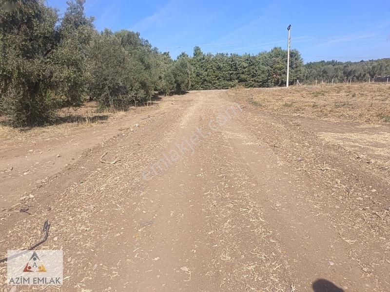 Karacaağaç'ta Satılık 2750 Metre Tarla — fotoğraf 3