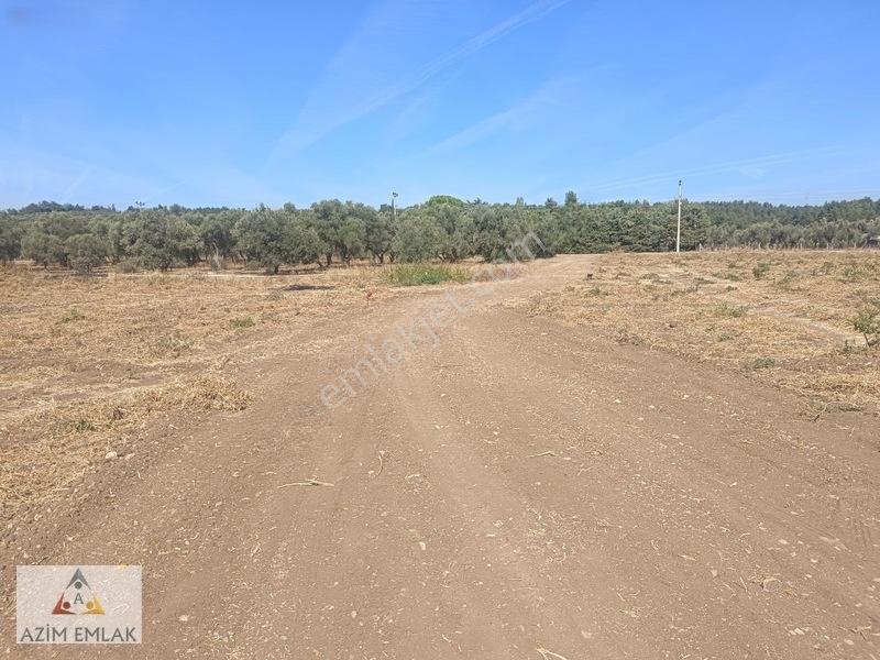 Karacaağaç'ta Satılık 2750 Metre Tarla — fotoğraf 6